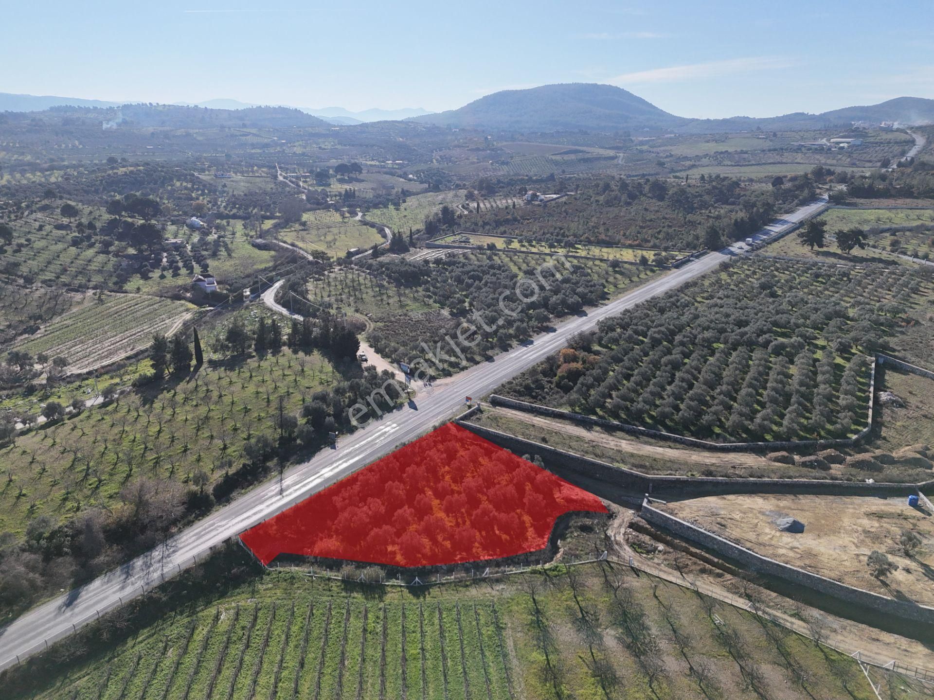 Kuşadası Yeniköy'de Yola Cepheli Satılık 1.275 M² Tarla - Görsel 6