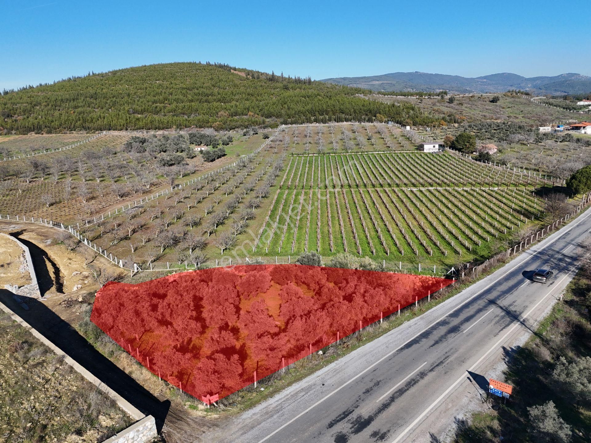 Kuşadası Yeniköy'de Yola Cepheli Satılık 1.275 M² Tarla - Görsel 8
