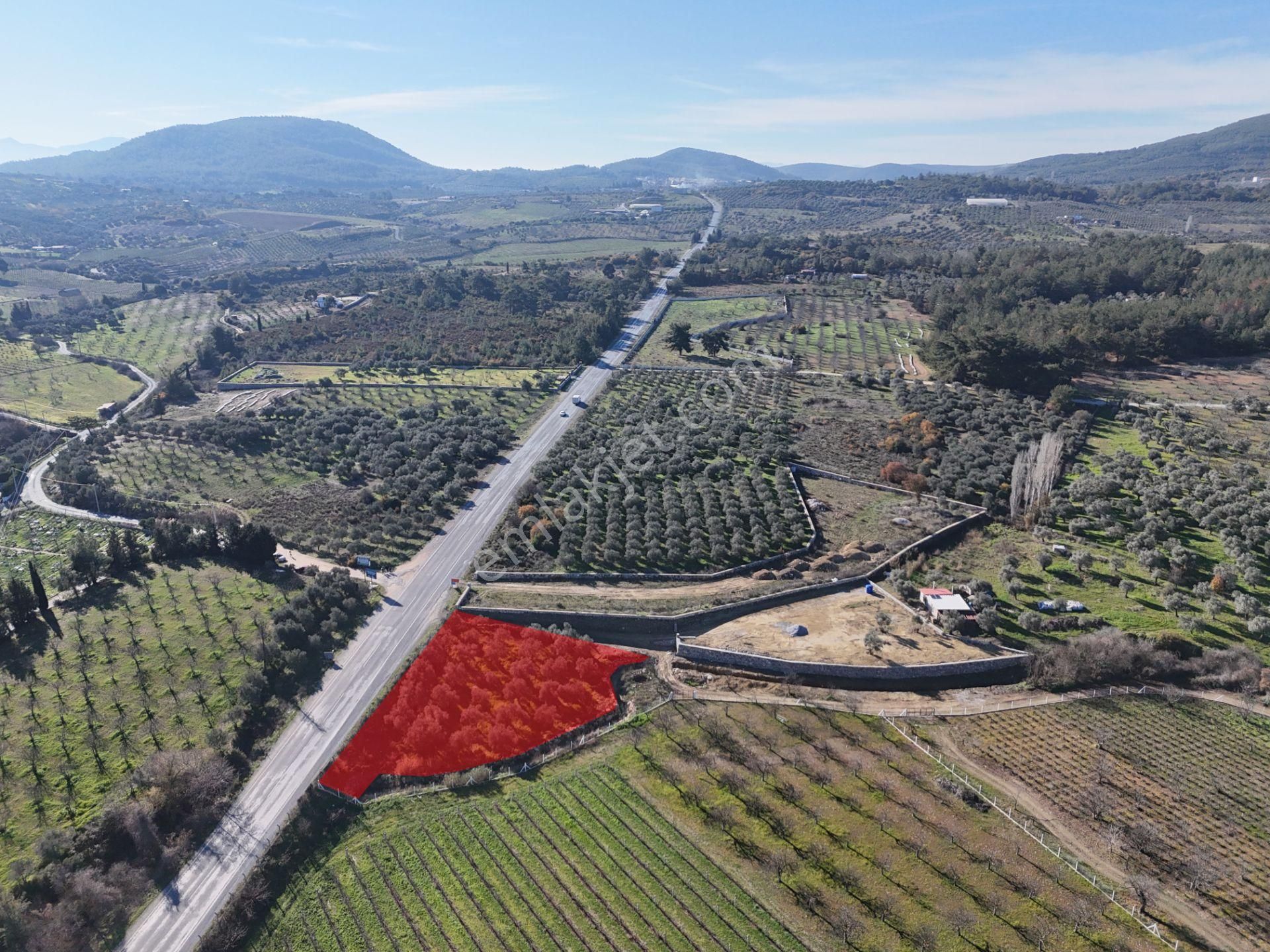 Kuşadası Yeniköy'de Yola Cepheli Satılık 1.275 M² Tarla - Görsel 5