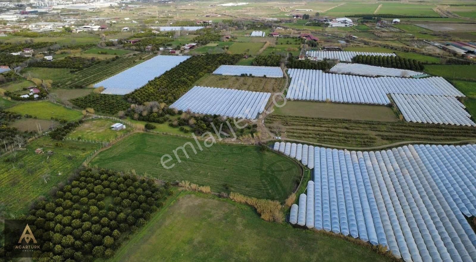 İsabeyli 10 Dönüm Arsa! Ev Yap, Çiftlik Olur - Görsel 15