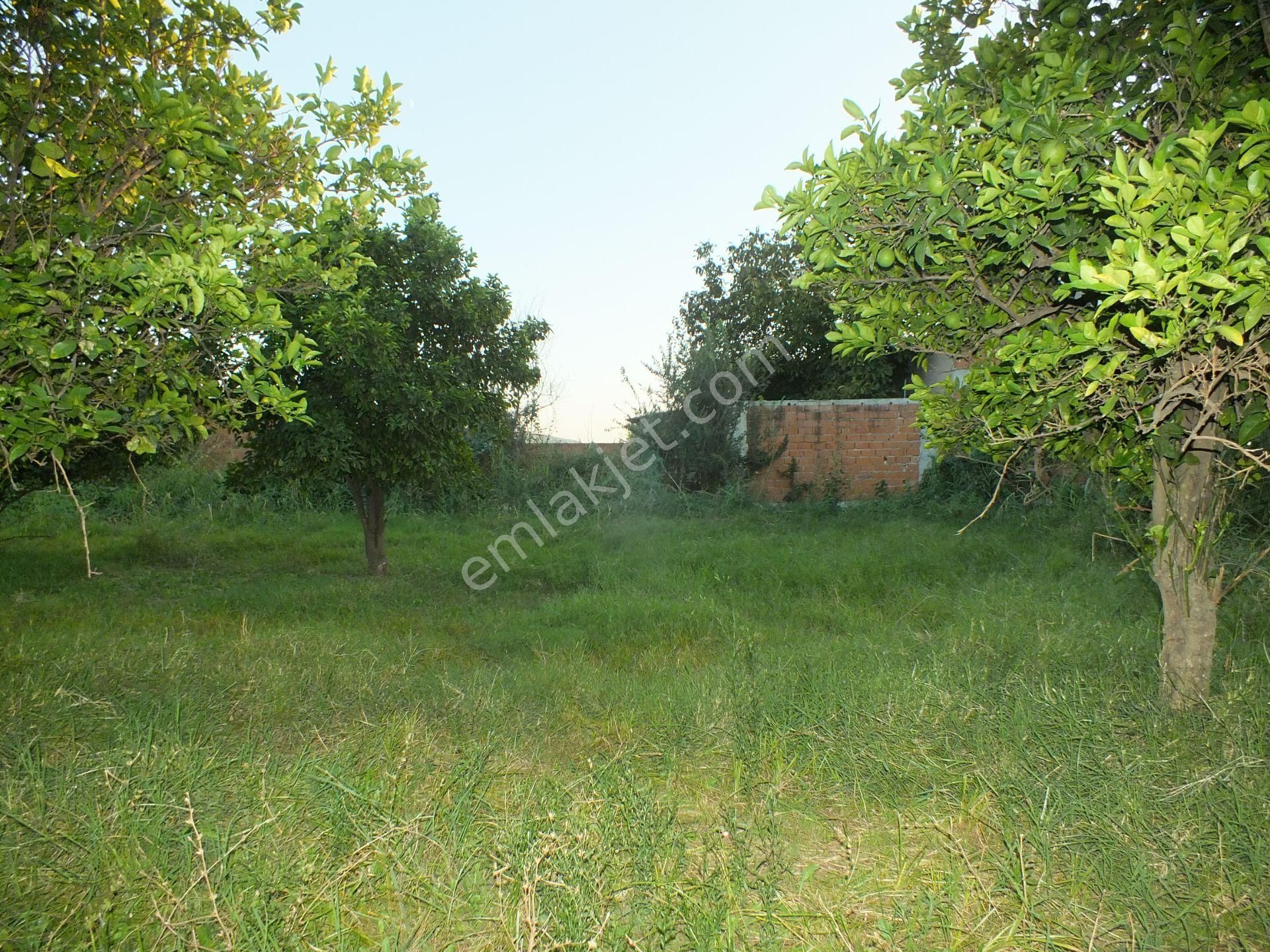 Durasıllı Mahallesinde Satılık Arsa - Görsel 11