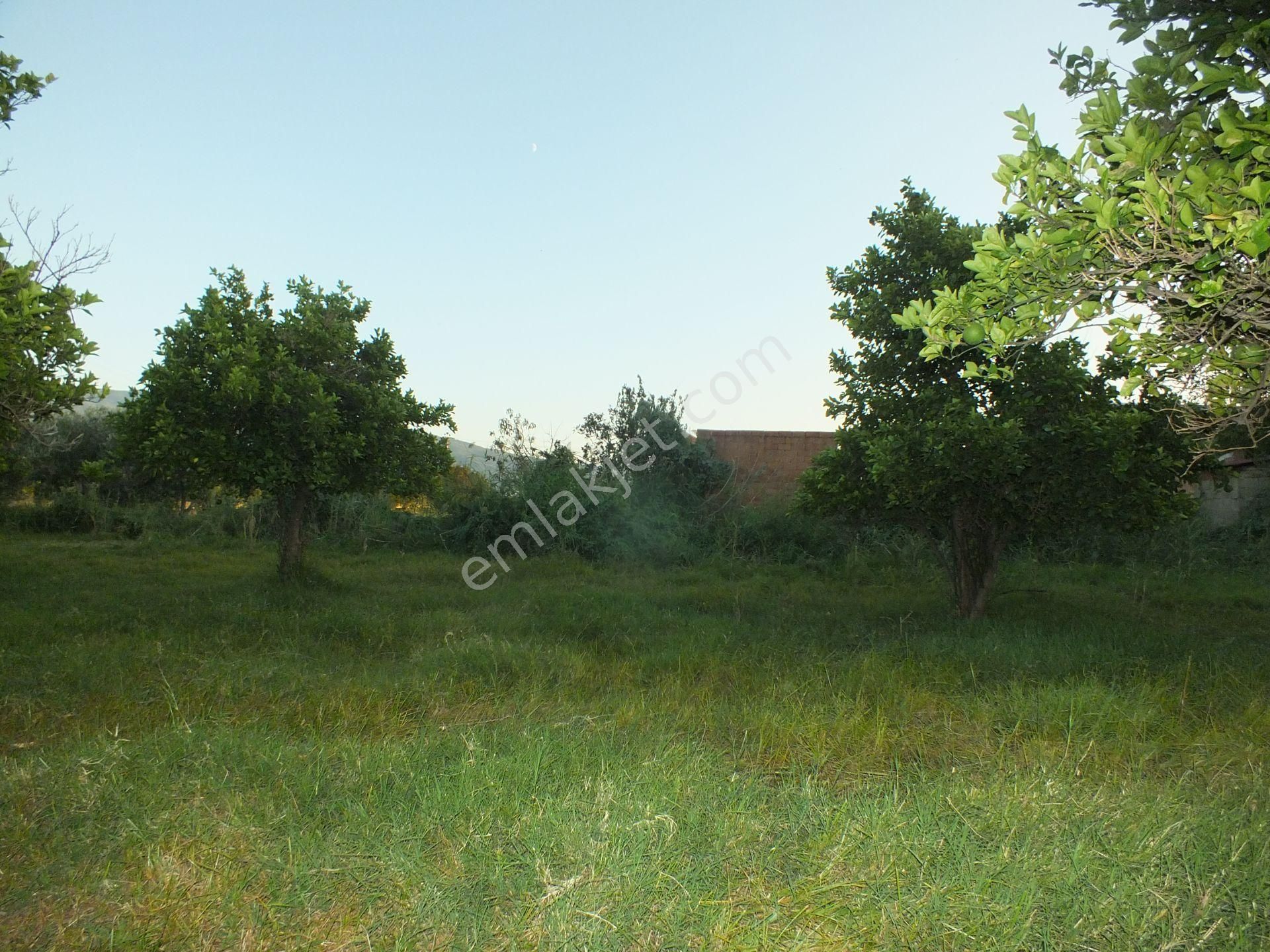 Durasıllı Mahallesinde Satılık Arsa - Görsel 14