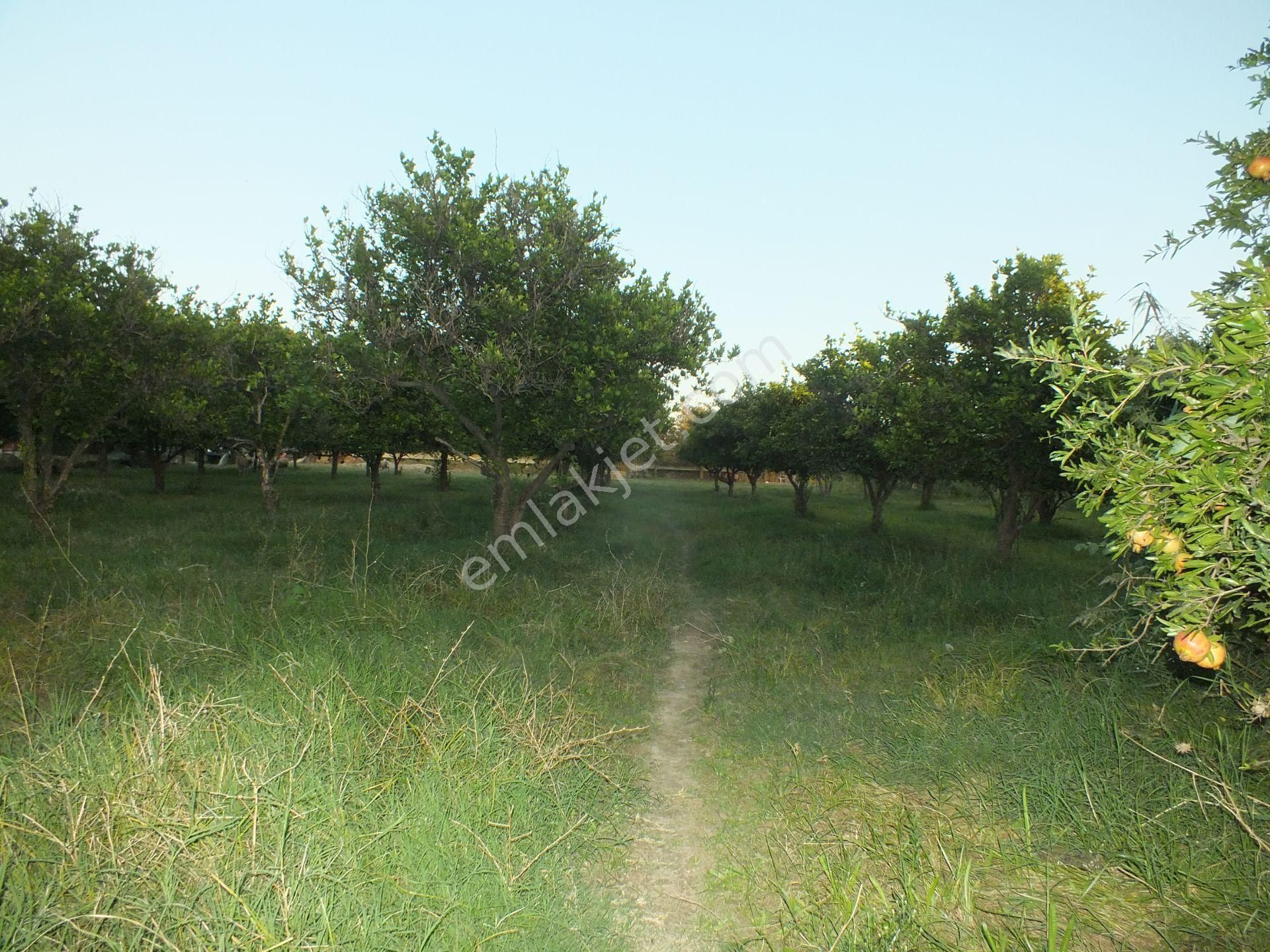 Durasıllı Mahallesinde Satılık Arsa - Görsel 2