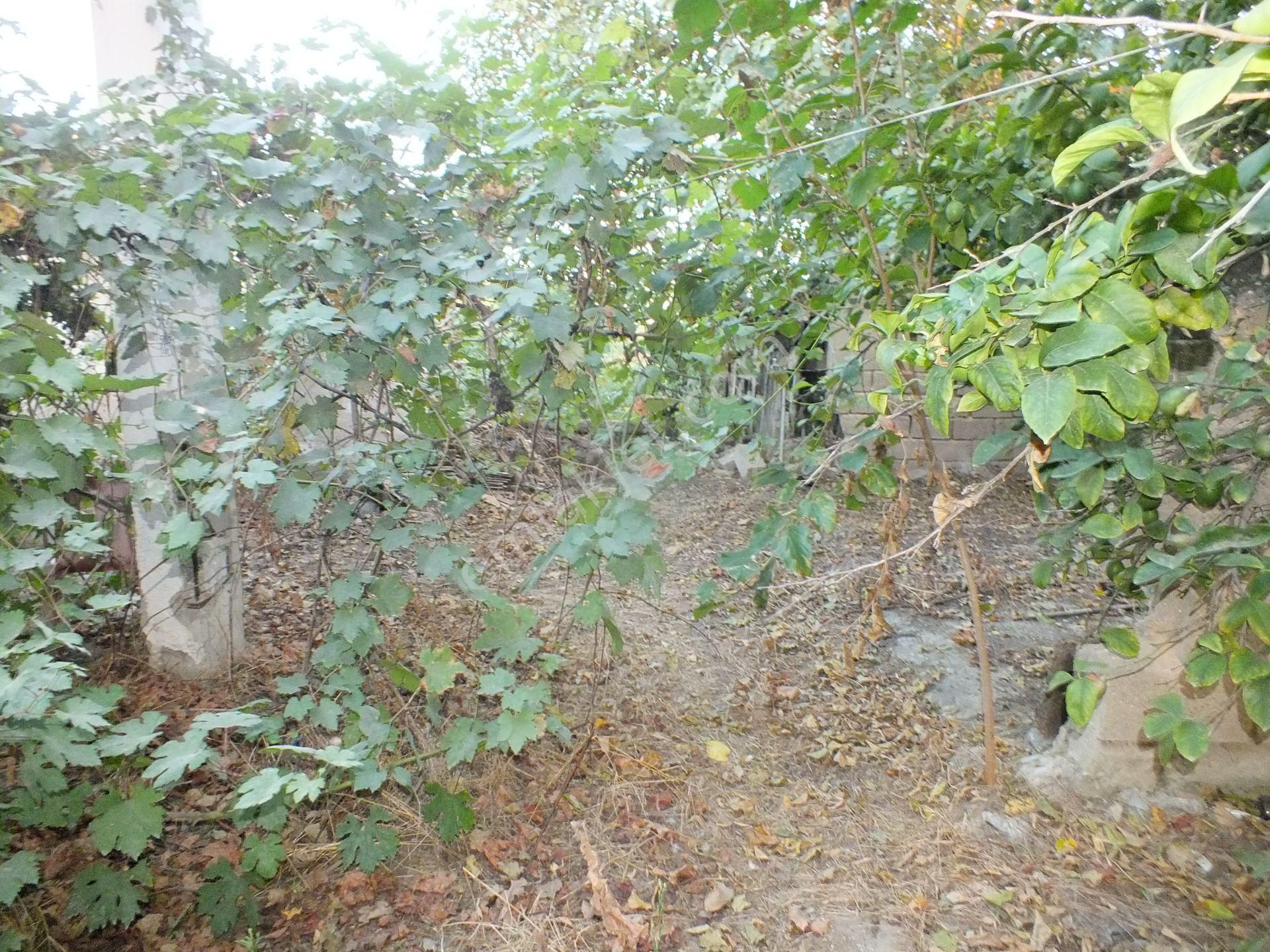 Durasıllı Mahallesinde Satılık Arsa - Görsel 18