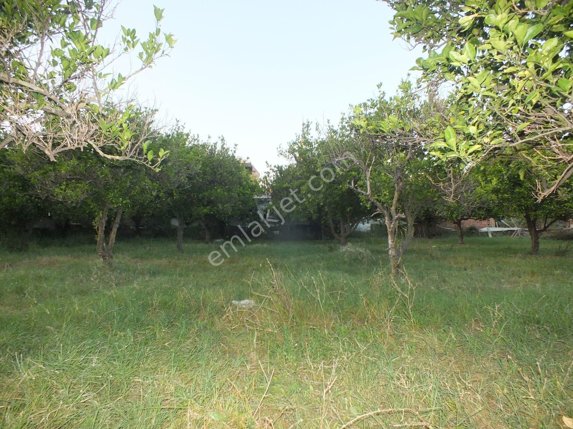 Durasıllı Mahallesinde Satılık Arsa - Görsel 12