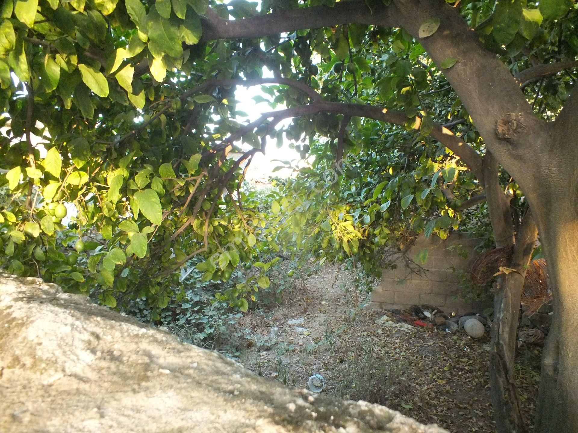 Durasıllı Mahallesinde Satılık Arsa - Görsel 5