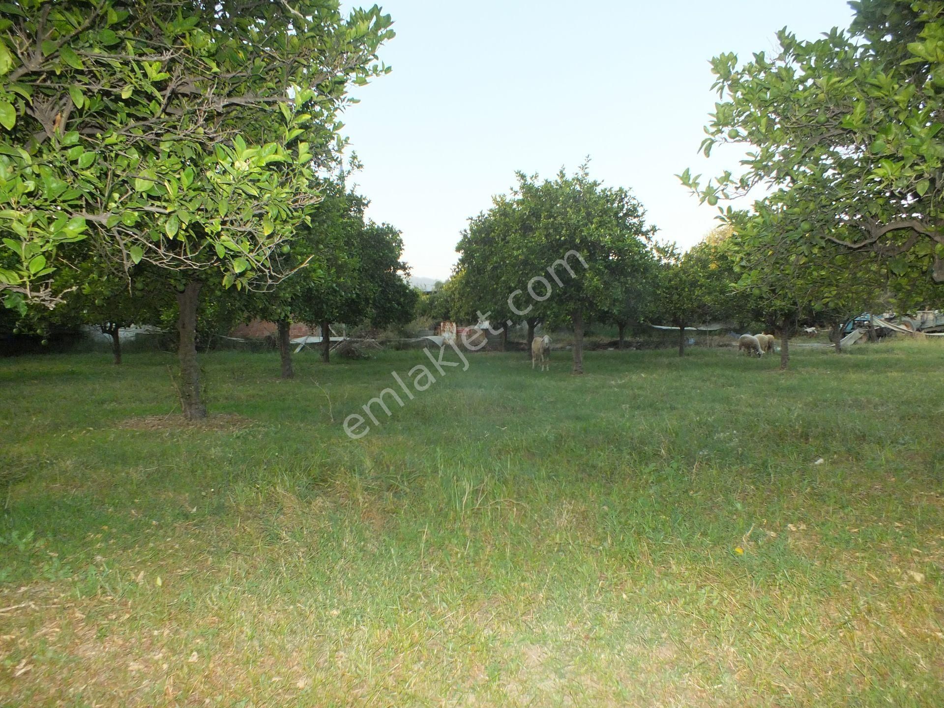 Durasıllı Mahallesinde Satılık Arsa - Görsel 15