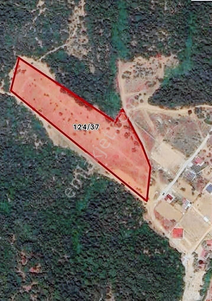 Bornova Yakaköy De Doğa İçerisinde 300m2 Satılık Arazi - Görsel 24