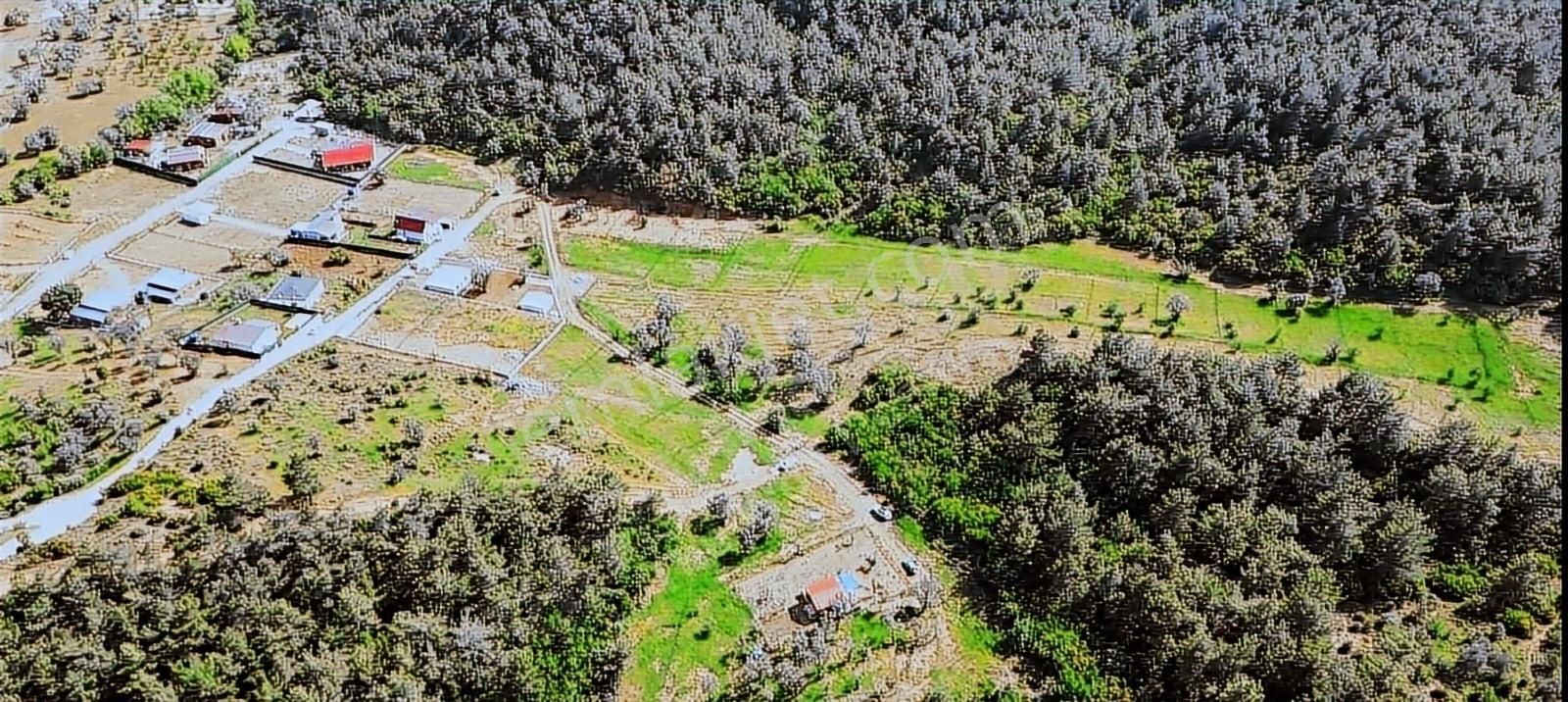 Bornova Yakaköy De Doğa İçerisinde 300m2 Satılık Arazi - Görsel 13