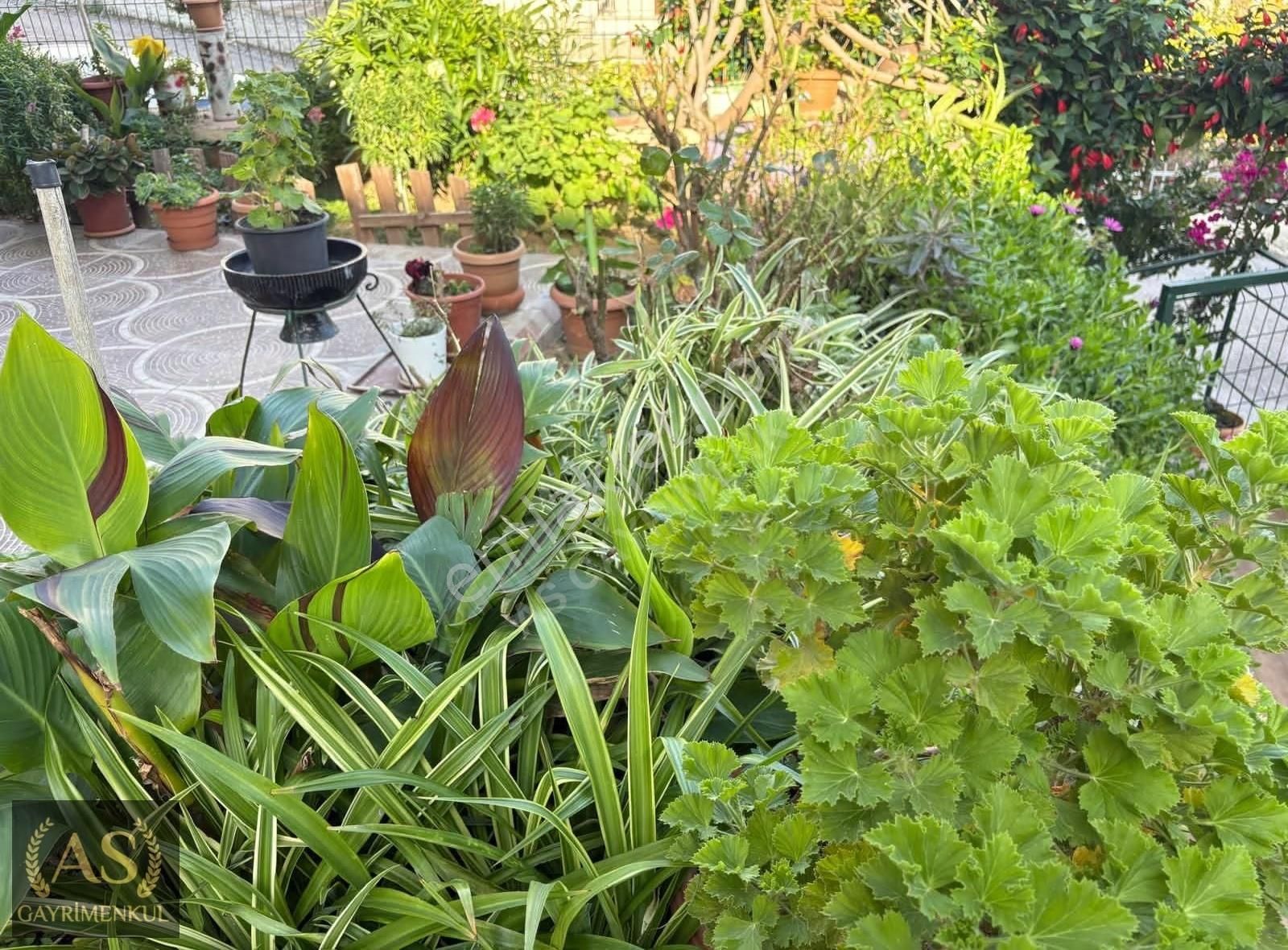 As Gyd...urla Zeytinalan Da Bahçe Kullanımlı Dubleks Daire - Görsel 10