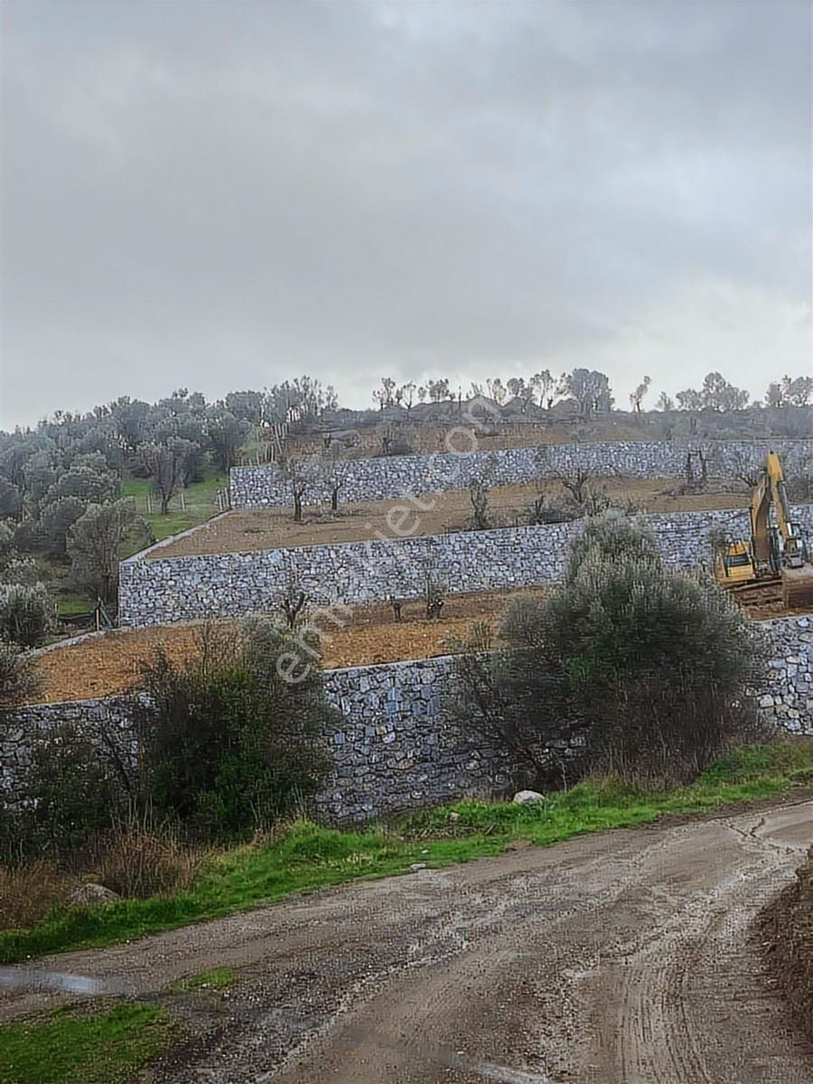 Menderes Akçaköy'de Satılık Bahçe - Görsel 2