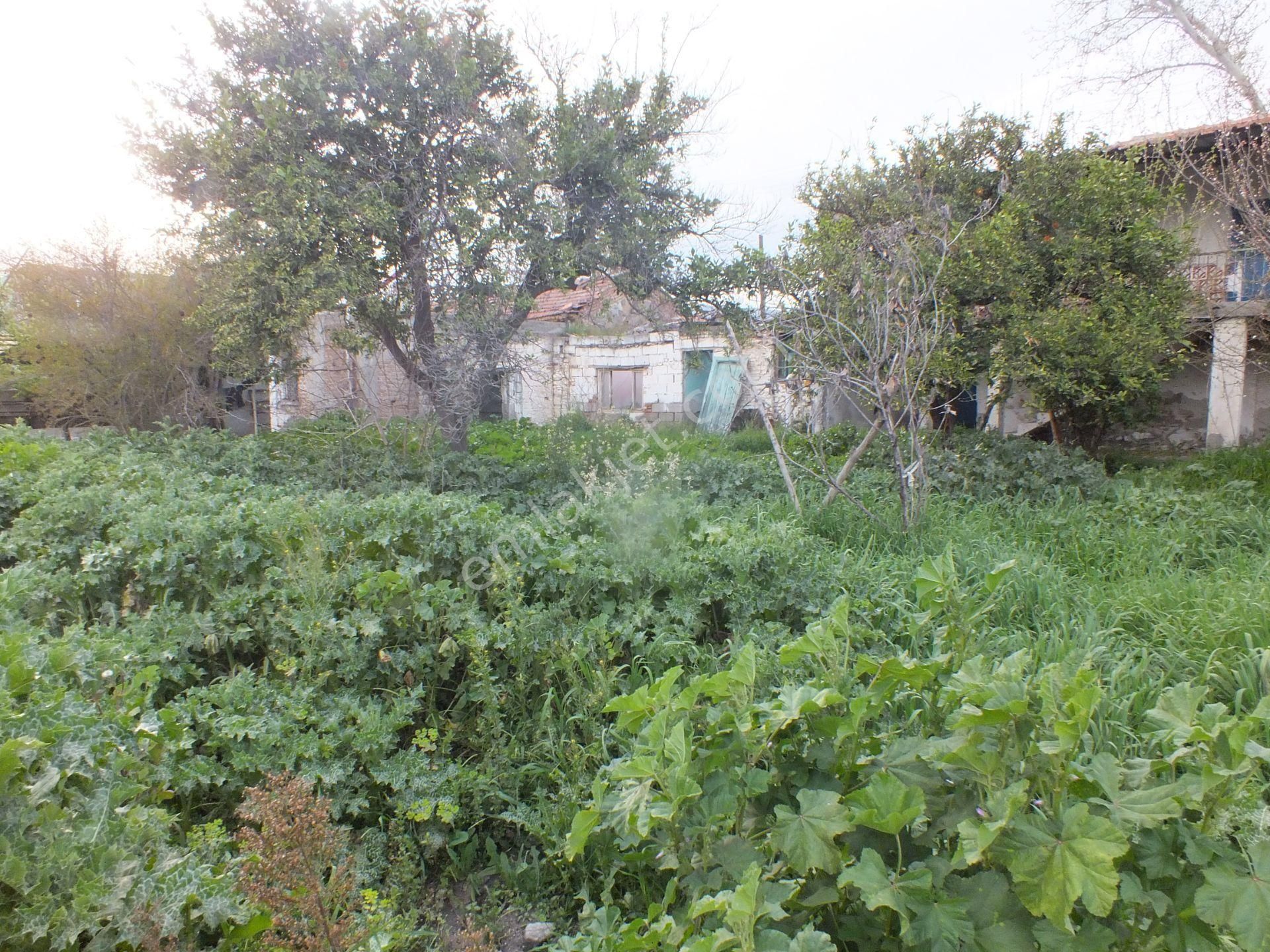 Horsunlu Mahallesin De Satılık 2 Katlı Müstakil Ve Bahçeli Ev - Görsel 8