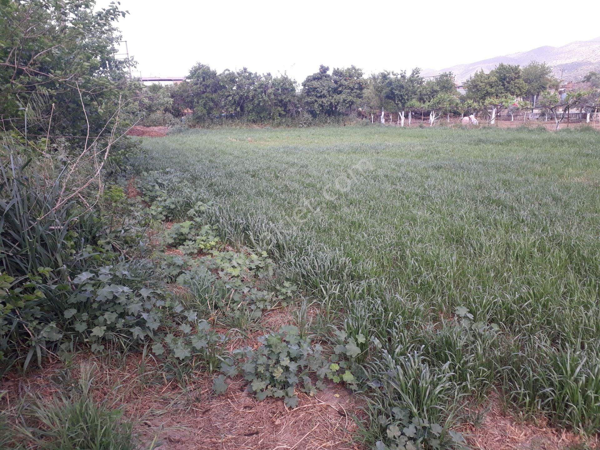 Yenipazar Çarşı Mah De Kat Karşılığı 2 Adet Arsa - Görsel 7