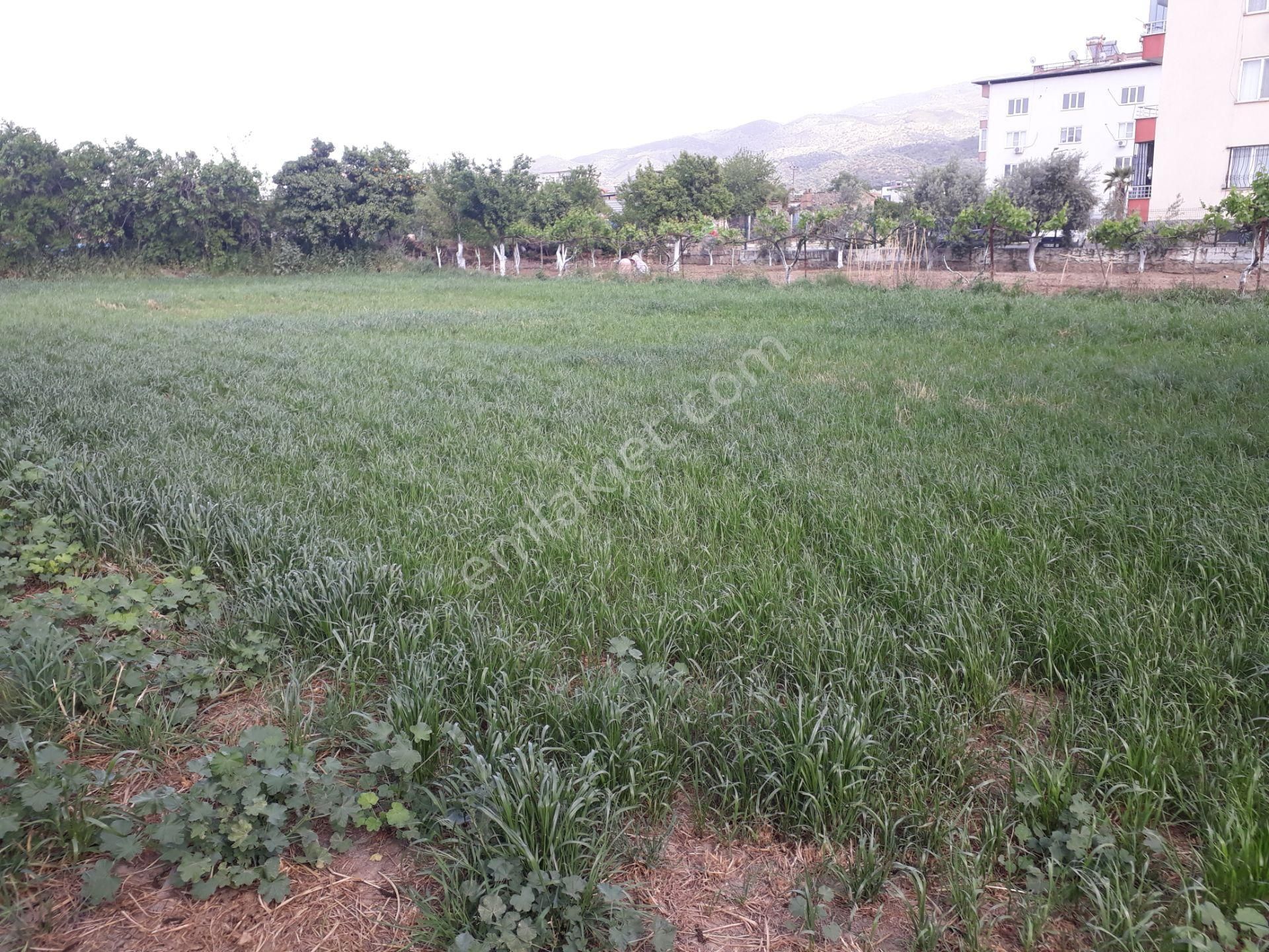 Yenipazar Çarşı Mah De Kat Karşılığı 2 Adet Arsa - Görsel 4