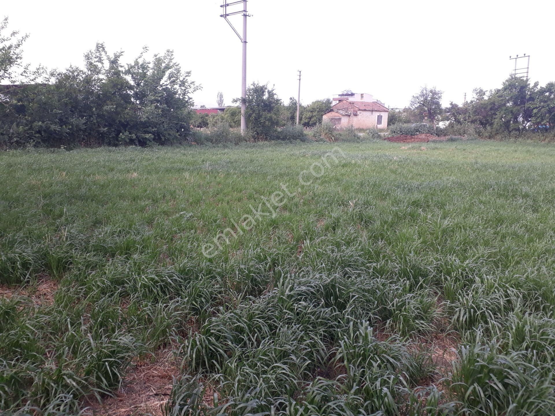 Yenipazar Çarşı Mah De Kat Karşılığı 2 Adet Arsa - Görsel 13