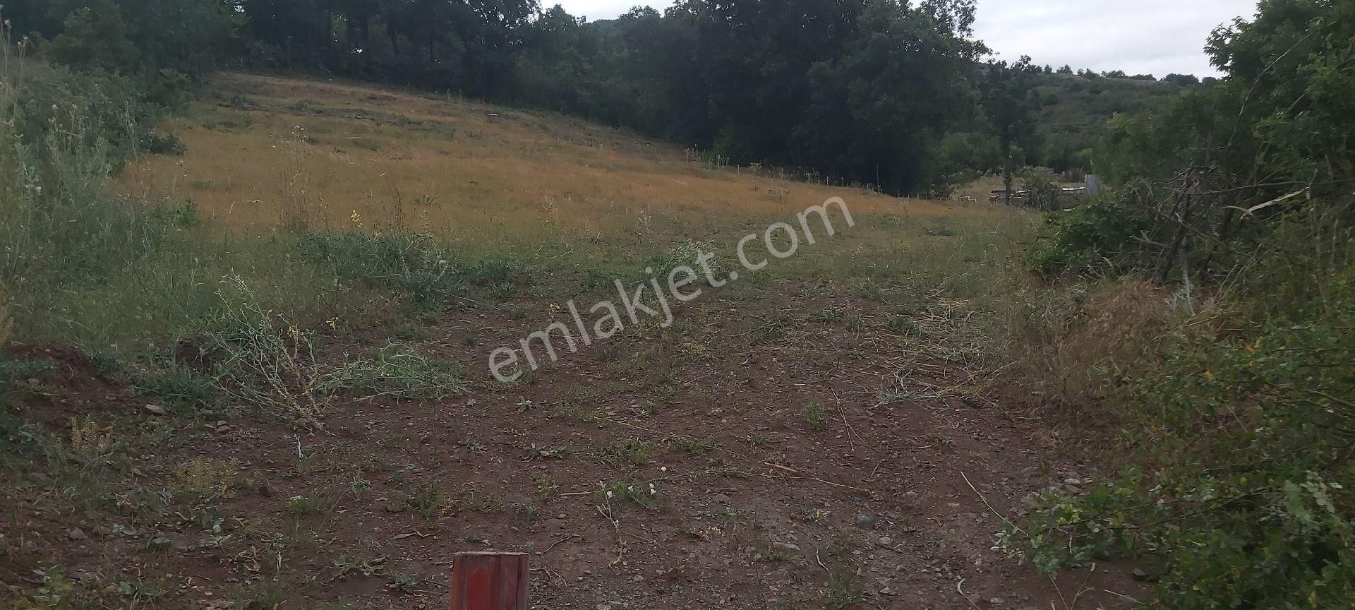 Acil Satılık Konumu Çok Güzel Tarla - Görsel 4