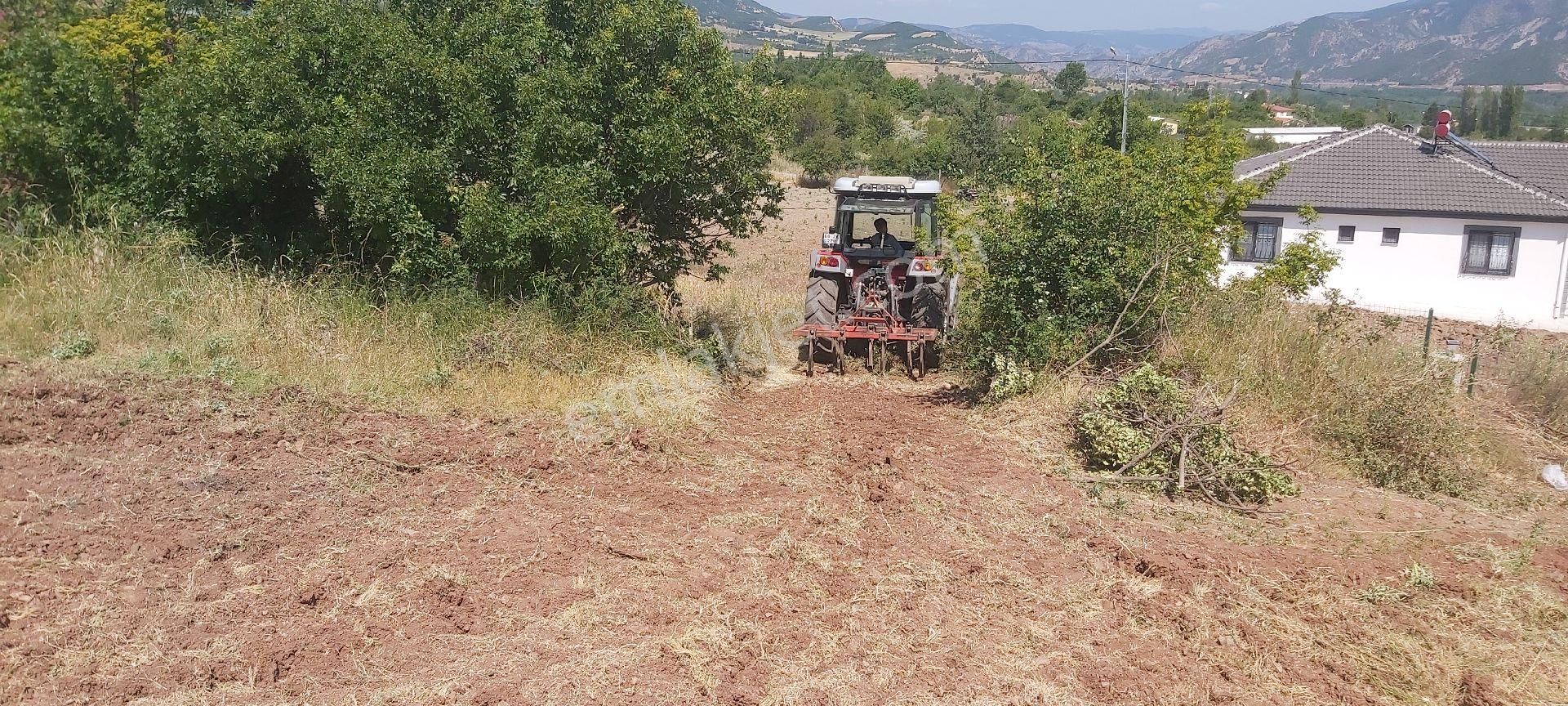 Acil Satılık Konumu Çok Güzel Tarla - Görsel 6