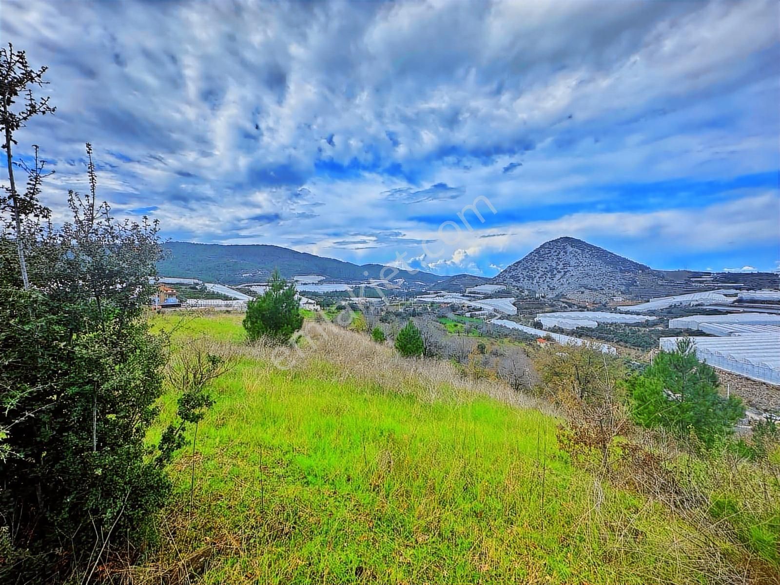 Satılık Yatırımlık Fırsat Tarla - Görsel 5