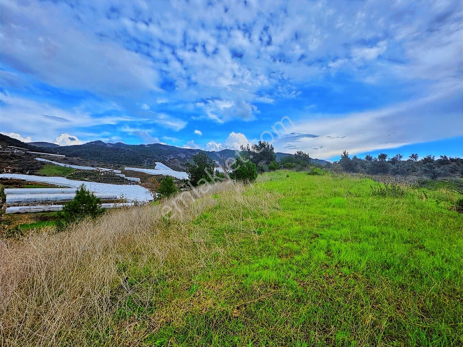 Satılık Yatırımlık Fırsat Tarla - Görsel 8