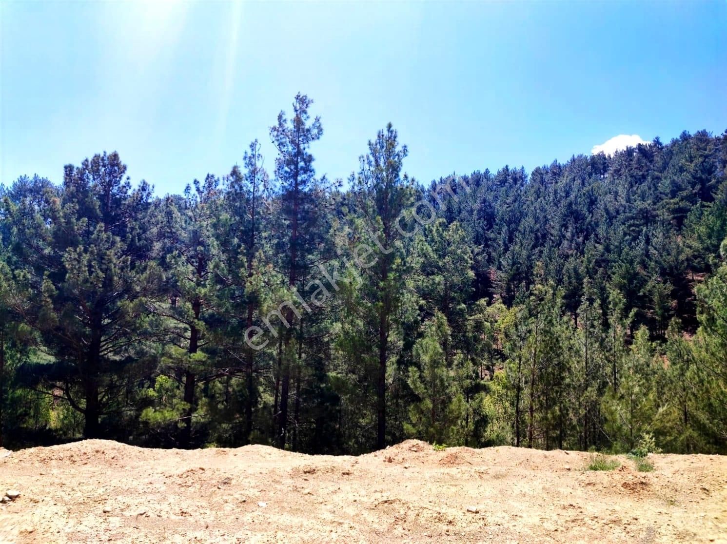 Kaar Emlaktan Yenikonacık Efes Sitesinin Yanı Çevre Duvarı Yapılmış 400 M2 Satılık Arsa - Görsel 28