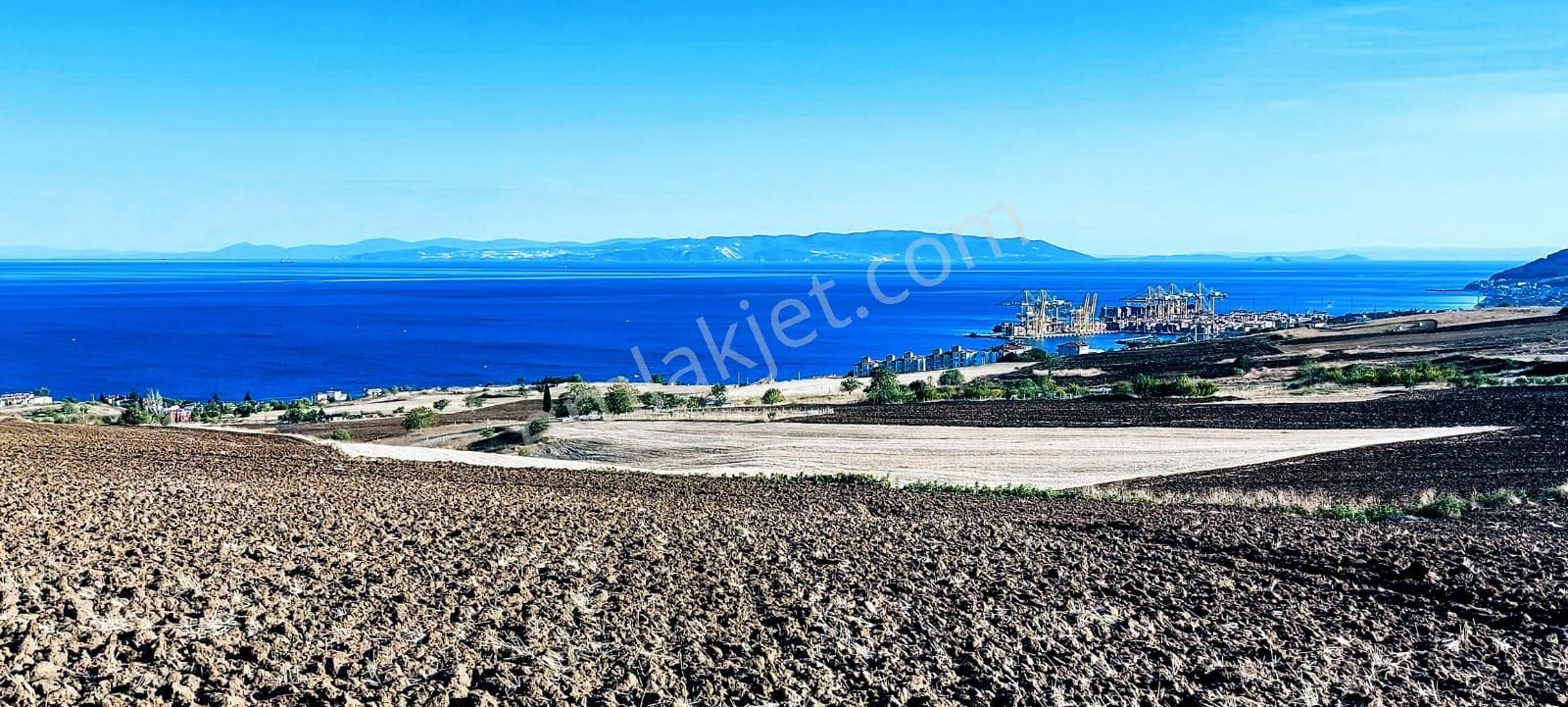 Full Deniz Ve Doğa Manzaralı 50 Dairelik Kooparetif Ve Site Projesine Uygun - Görsel 22