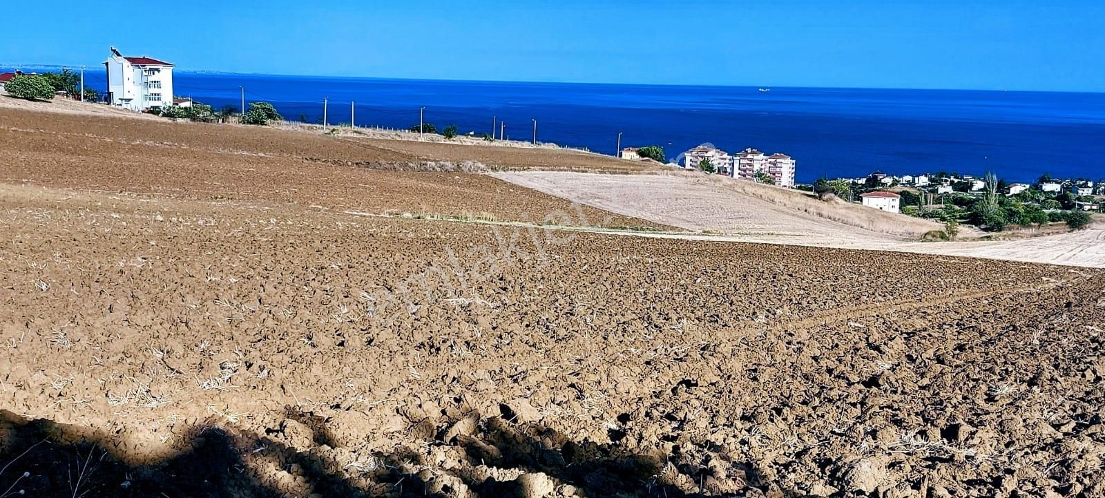 Full Deniz Ve Doğa Manzaralı 50 Dairelik Kooparetif Ve Site Projesine Uygun - Görsel 13