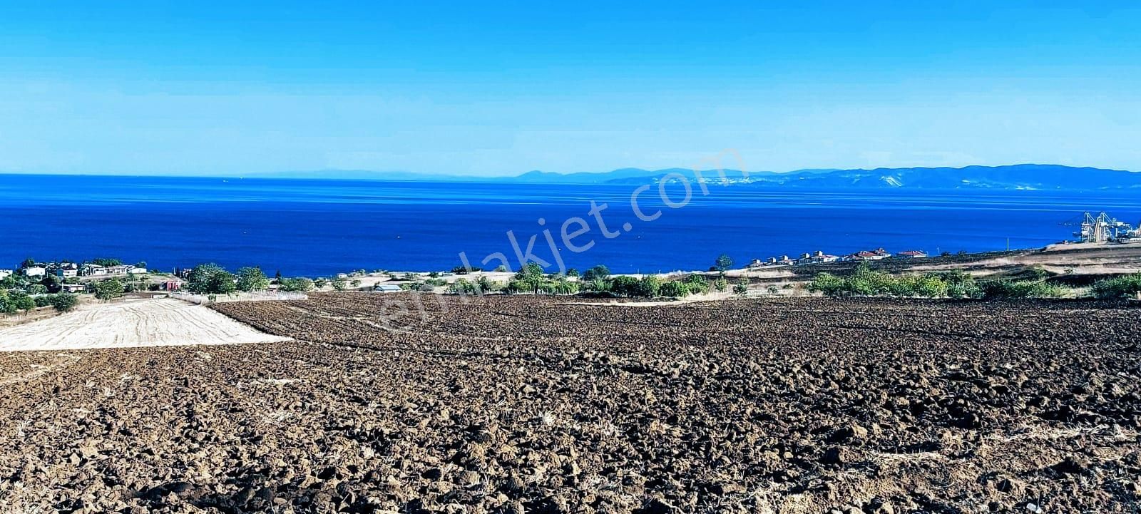 Full Deniz Ve Doğa Manzaralı 50 Dairelik Kooparetif Ve Site Projesine Uygun - Görsel 10