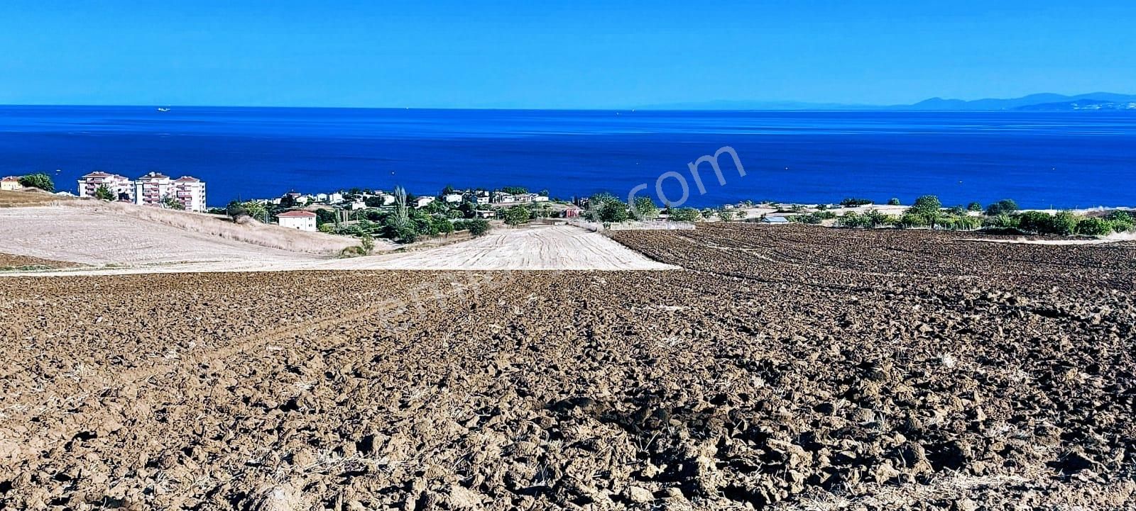 Full Deniz Ve Doğa Manzaralı 50 Dairelik Kooparetif Ve Site Projesine Uygun - Görsel 15