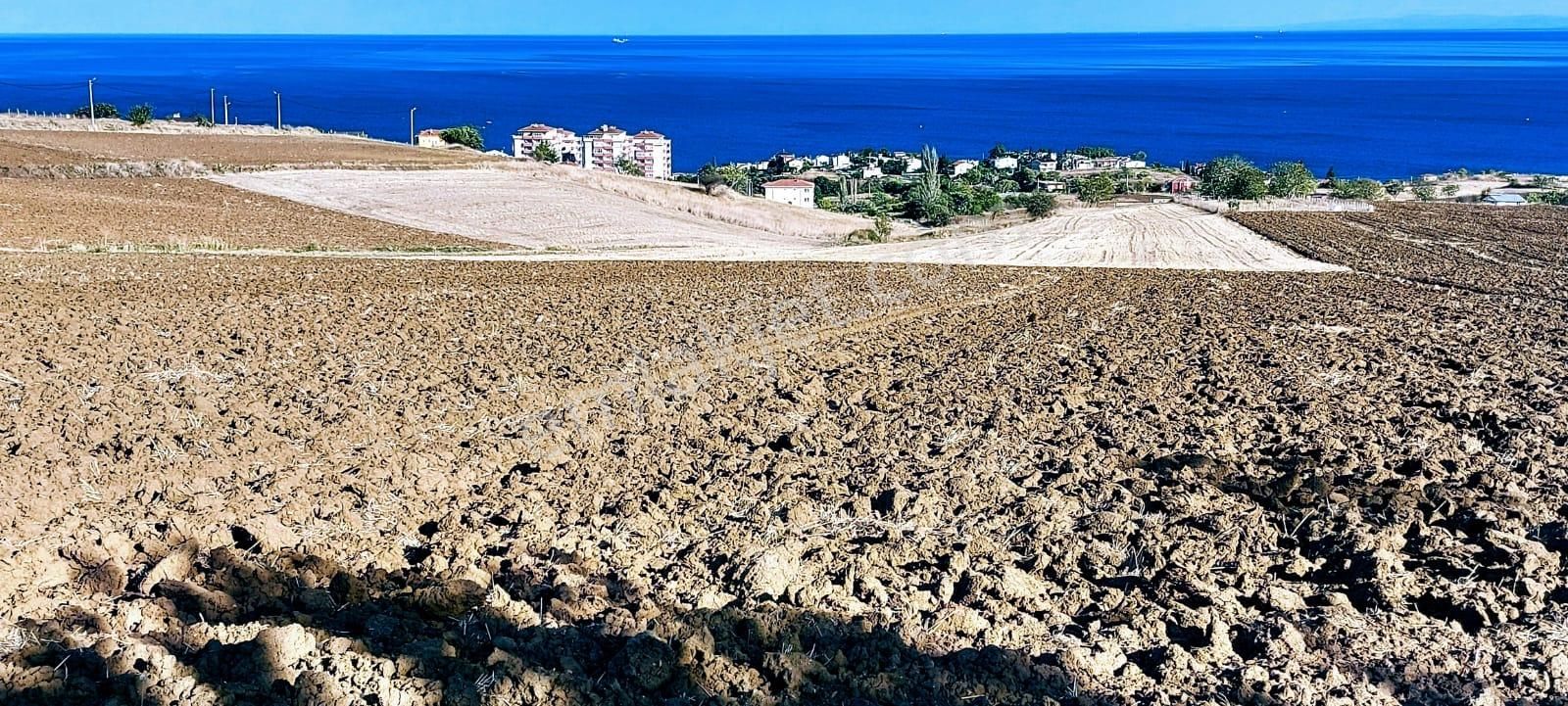 Full Deniz Ve Doğa Manzaralı 50 Dairelik Kooparetif Ve Site Projesine Uygun - Görsel 27
