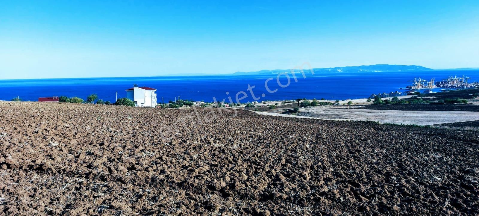 Full Deniz Ve Doğa Manzaralı 50 Dairelik Kooparetif Ve Site Projesine Uygun - Görsel 23