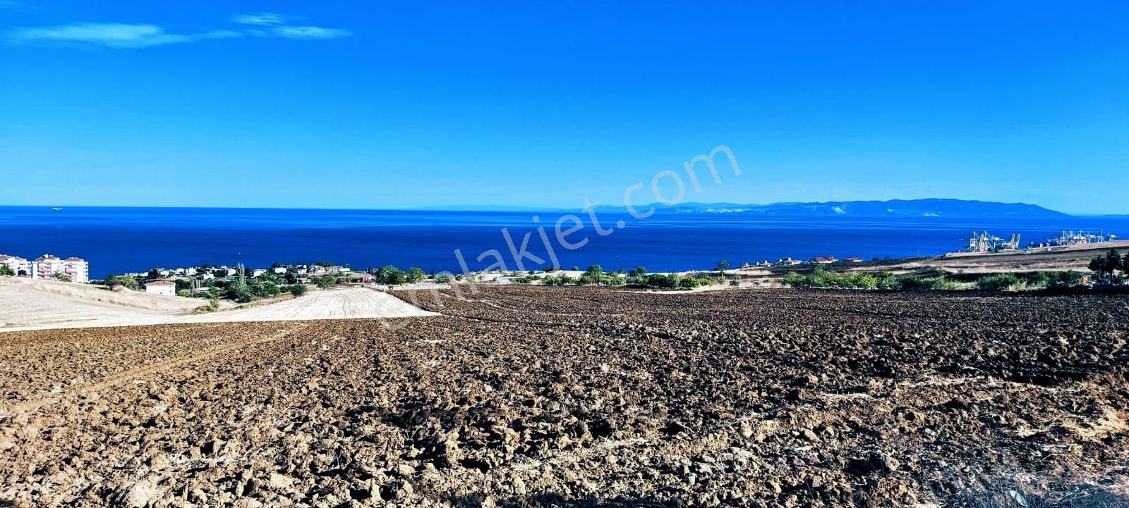 Full Deniz Ve Doğa Manzaralı 50 Dairelik Kooparetif Ve Site Projesine Uygun - Görsel 5