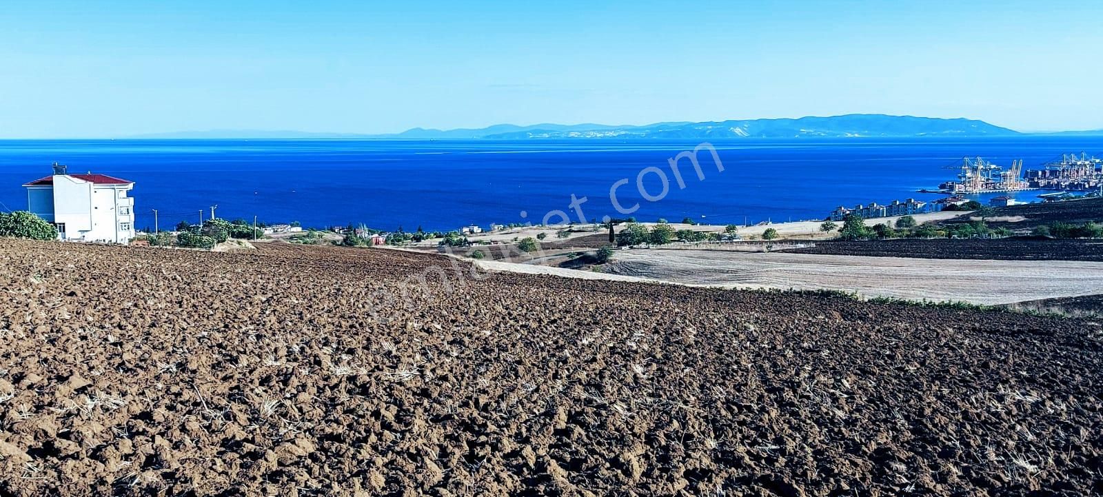Full Deniz Ve Doğa Manzaralı 50 Dairelik Kooparetif Ve Site Projesine Uygun - Görsel 21