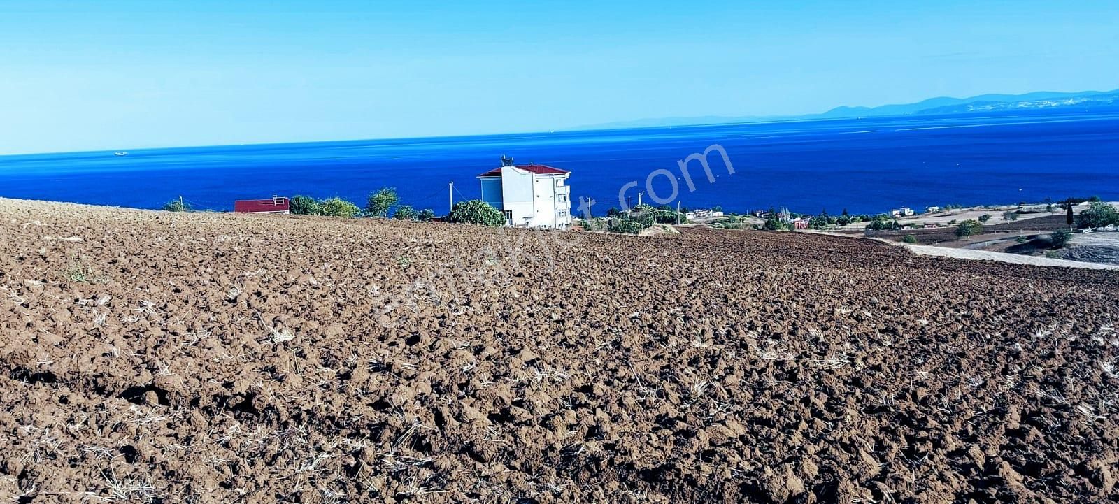 Full Deniz Ve Doğa Manzaralı 50 Dairelik Kooparetif Ve Site Projesine Uygun - Görsel 18