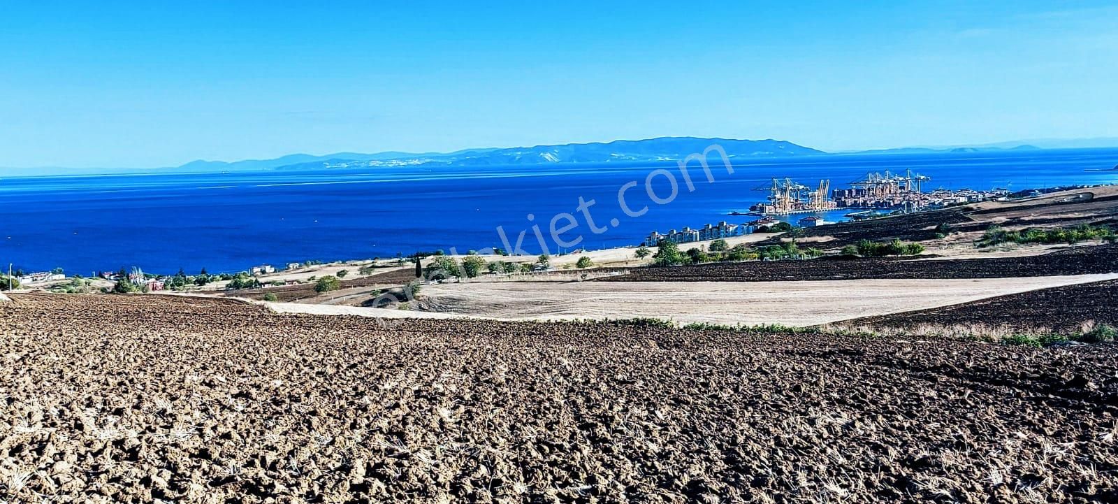 Full Deniz Ve Doğa Manzaralı 50 Dairelik Kooparetif Ve Site Projesine Uygun - Görsel 8