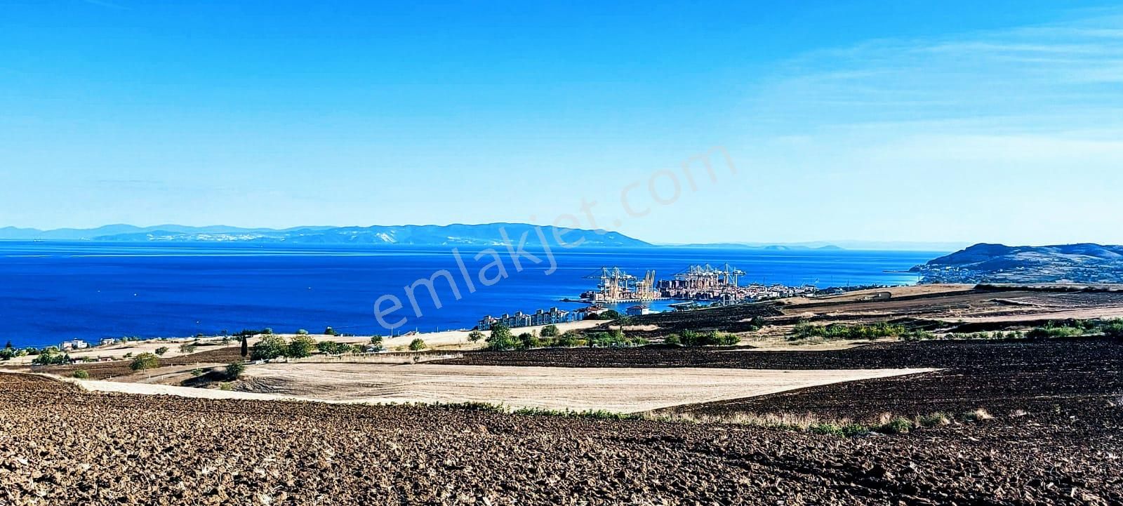 Full Deniz Ve Doğa Manzaralı 50 Dairelik Kooparetif Ve Site Projesine Uygun - Görsel 19