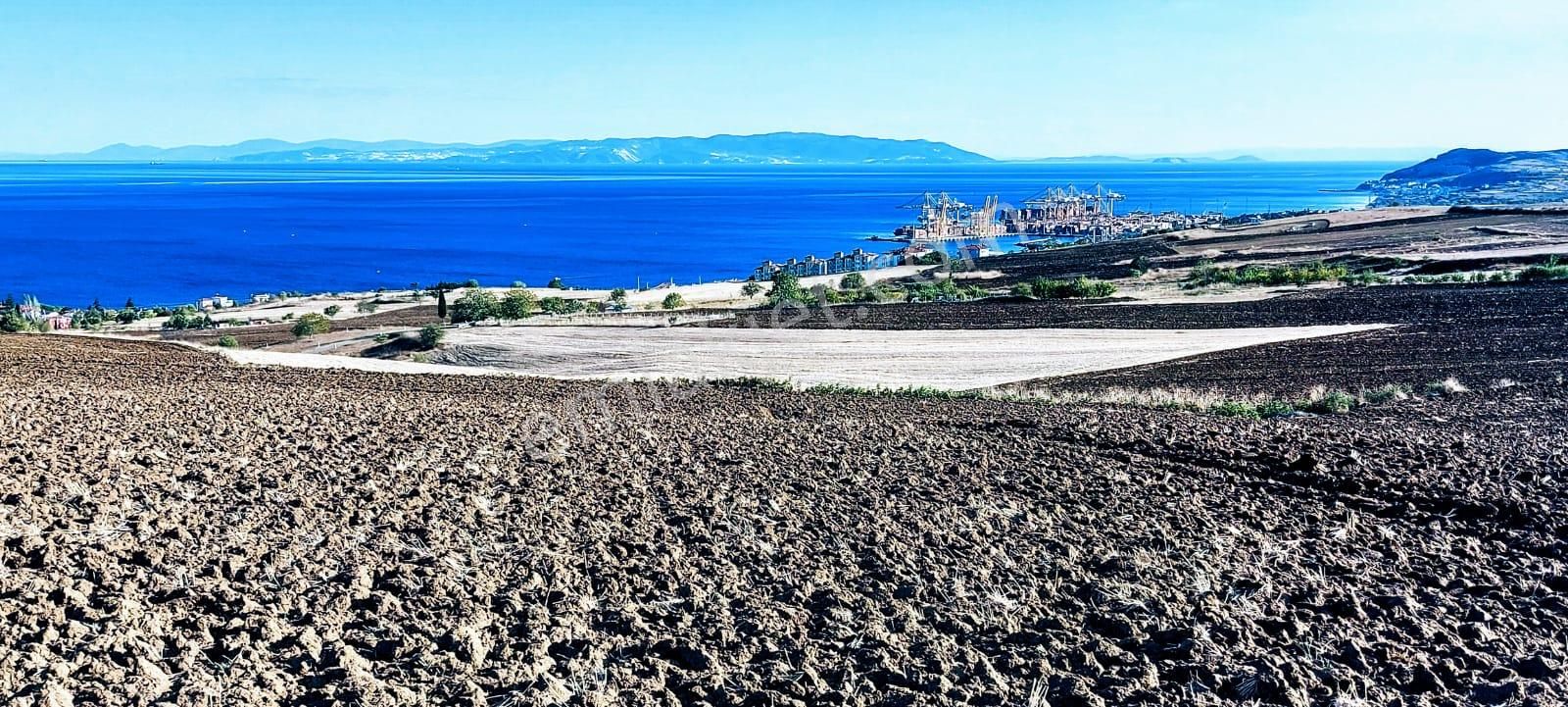 Full Deniz Ve Doğa Manzaralı 50 Dairelik Kooparetif Ve Site Projesine Uygun