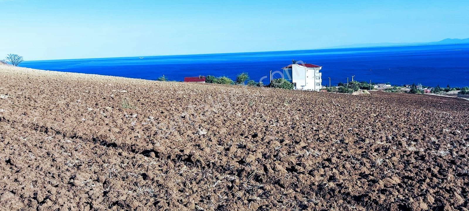 Full Deniz Ve Doğa Manzaralı 50 Dairelik Kooparetif Ve Site Projesine Uygun - Görsel 17