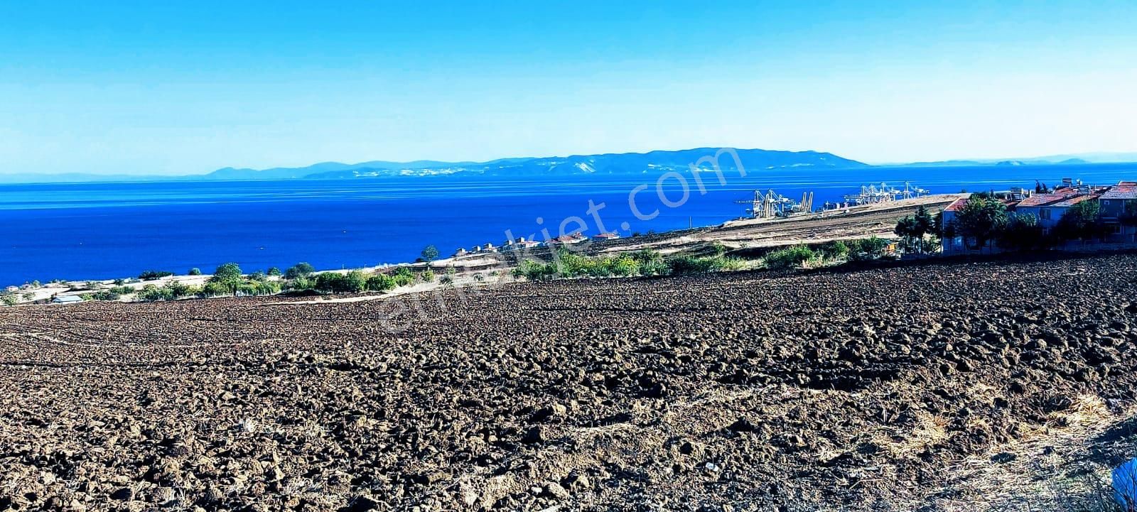 Full Deniz Ve Doğa Manzaralı 50 Dairelik Kooparetif Ve Site Projesine Uygun - Görsel 6