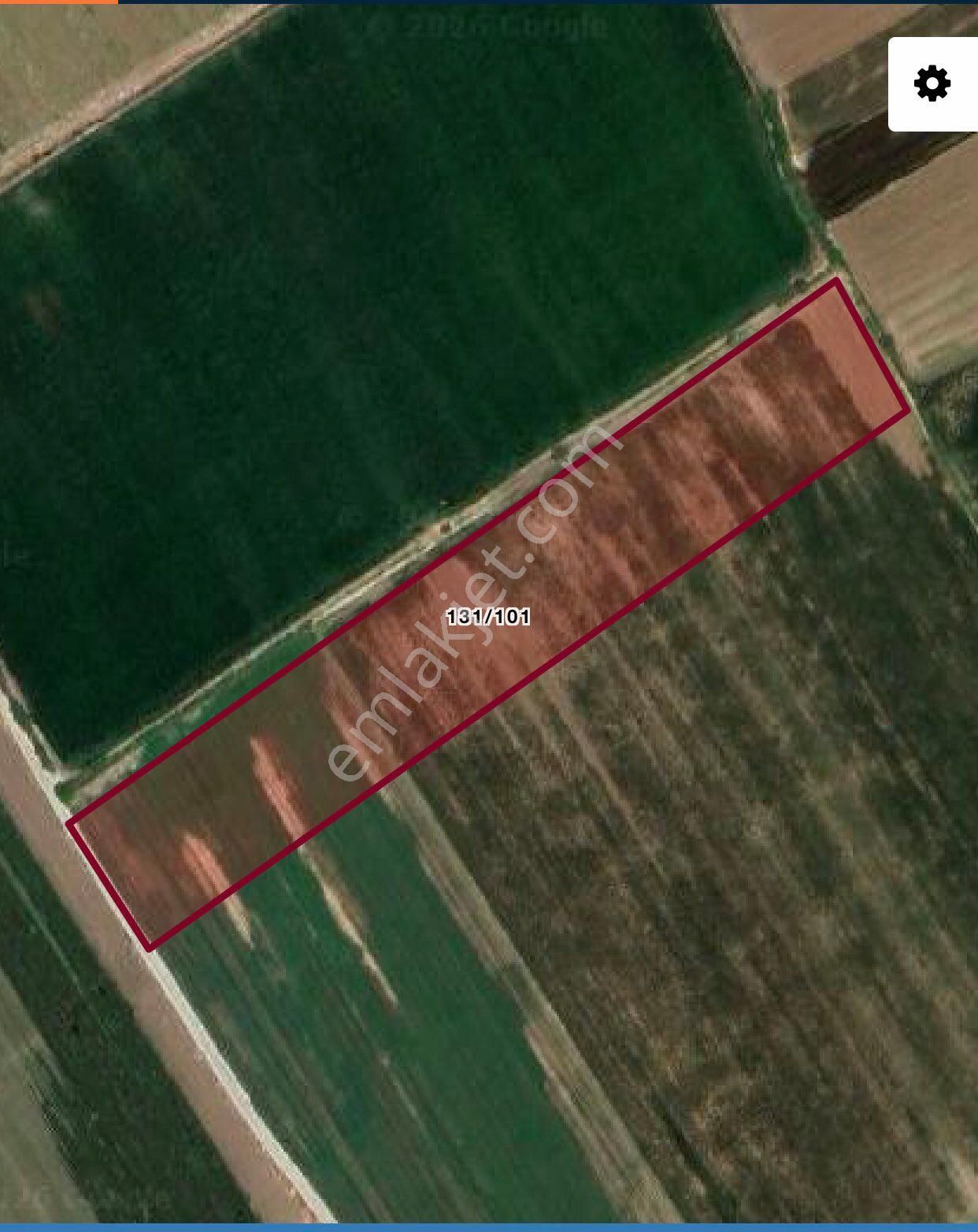 Muğla Milasta Satılık Tarla - Görsel 3