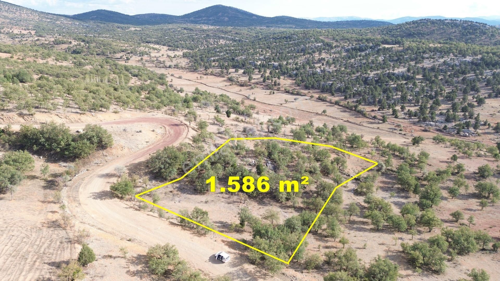 Konya / Bozkır / Hacılar Mahallesinde 1.586 M² Müstakil Tapulu Tarla - Görsel 2