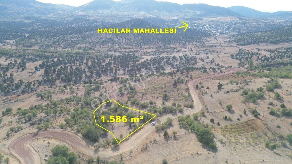 Konya / Bozkır / Hacılar Mahallesinde 1.586 M² Müstakil Tapulu Tarla - Görsel 5