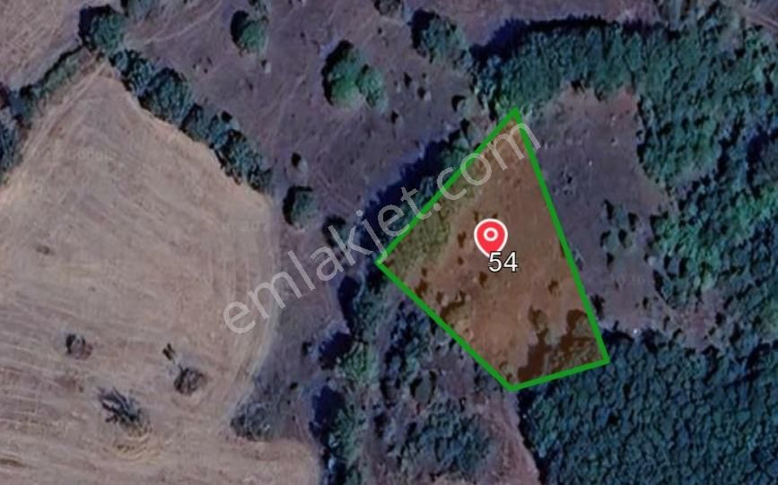 Çanakkale Lapseki Beyçayır Köyü Satılık 1356 M2 Arazi