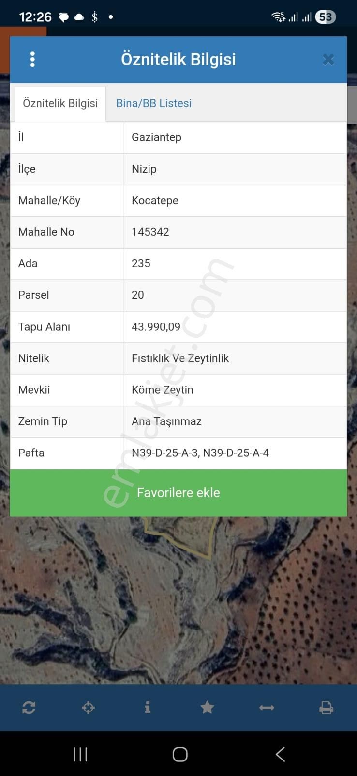 Nizip Kocatepe De Satılık Fıstık Zeytin Bahçesi - Görsel 11