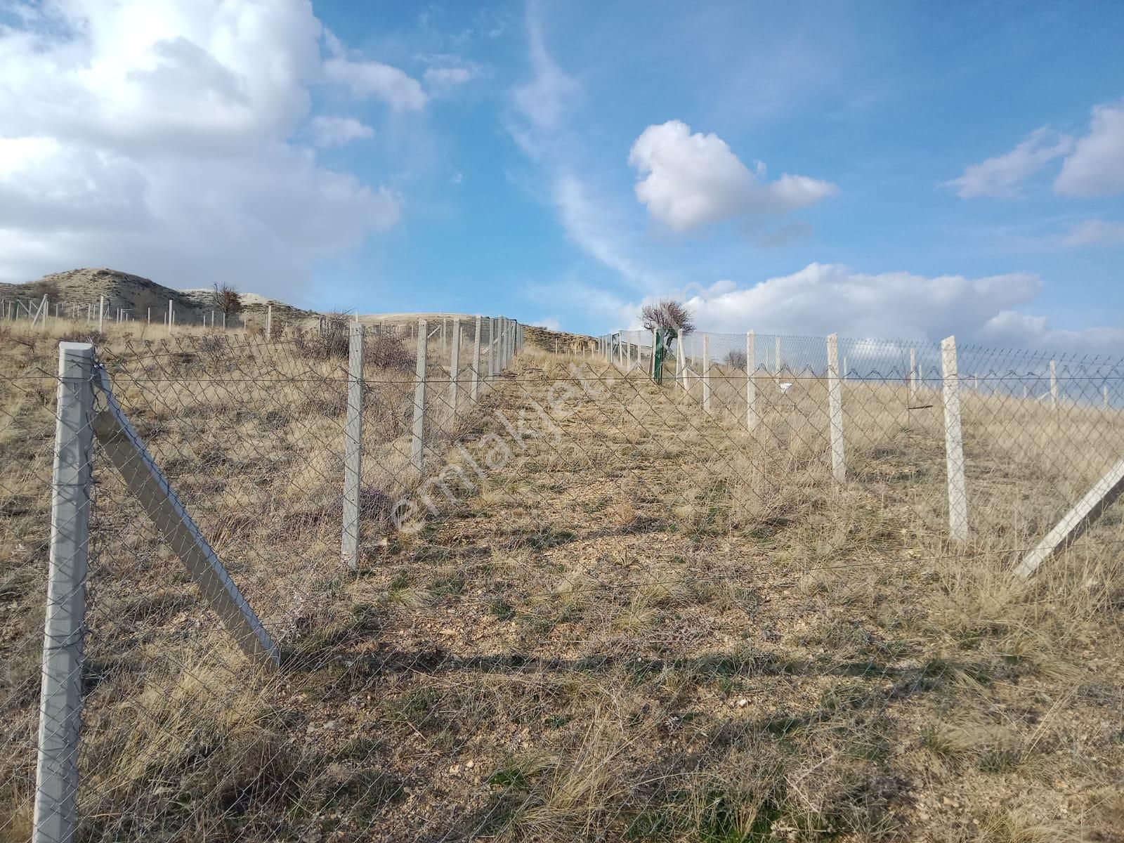 En Manzaralısı 2214,84 M2 - Görsel 9