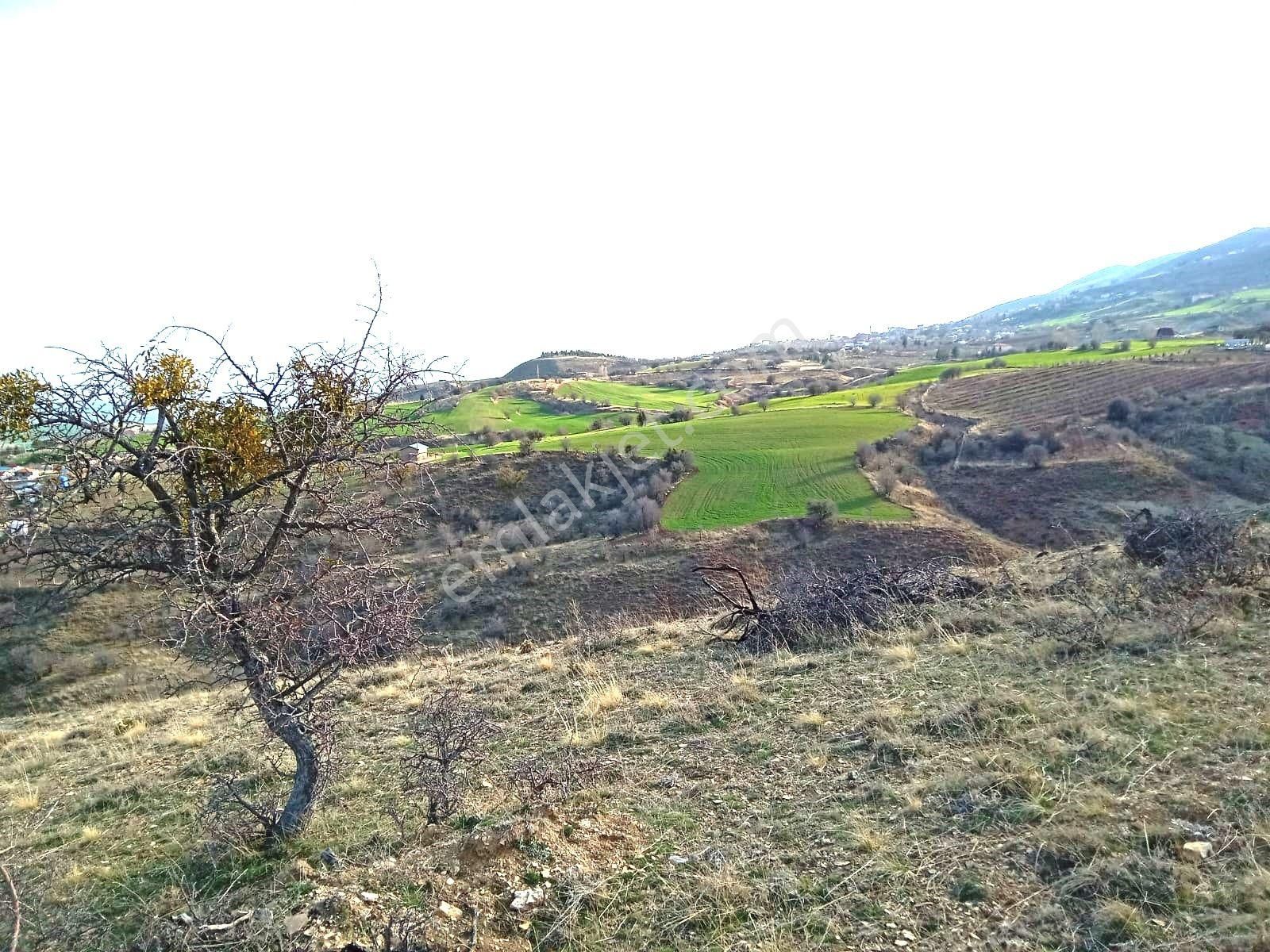 En Manzaralısı 2214,84 M2 - Görsel 5