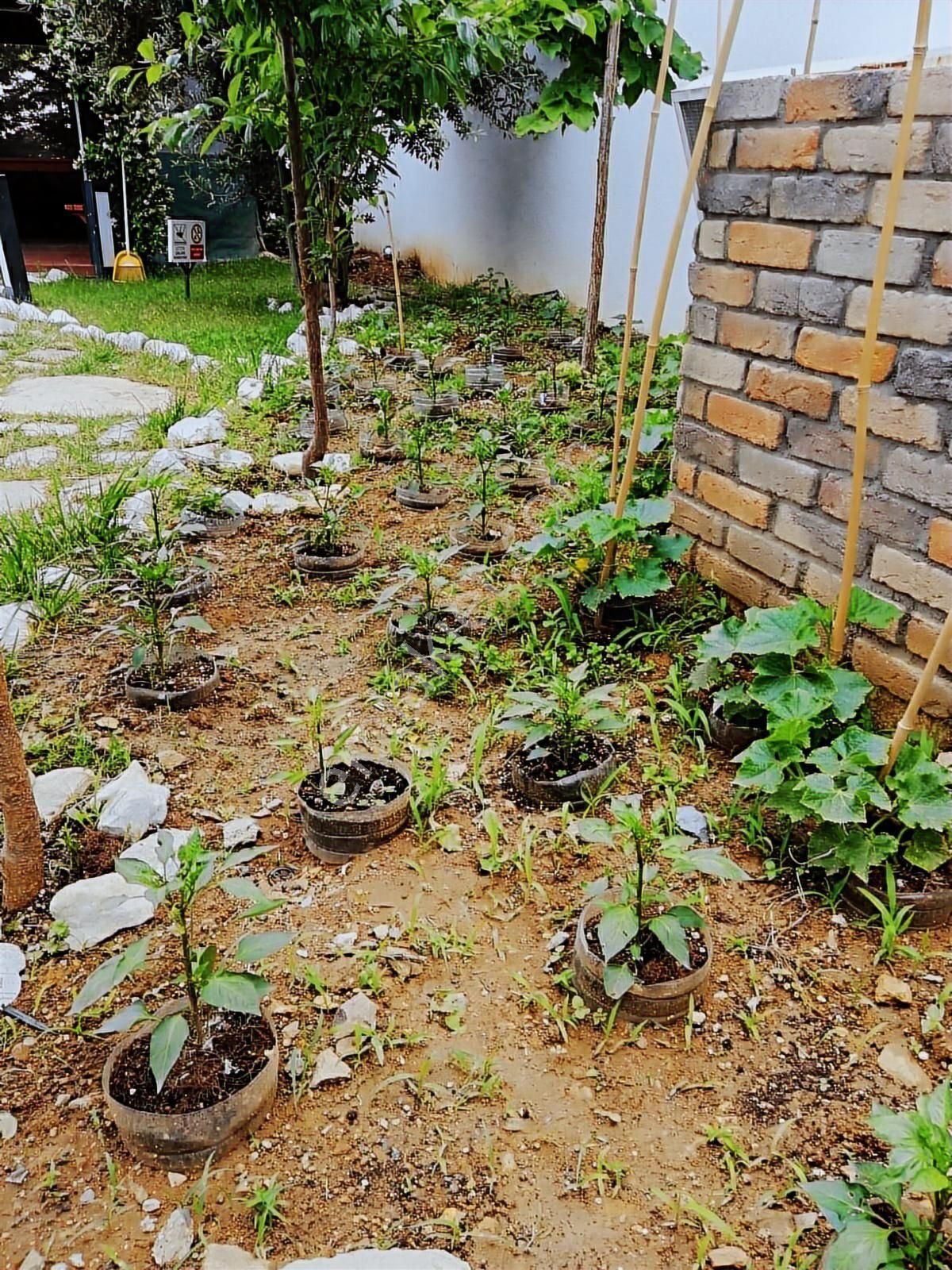 Kaliteli Ve Nezih Sitede Geniş Ve Ferah 1+1 - Görsel 15