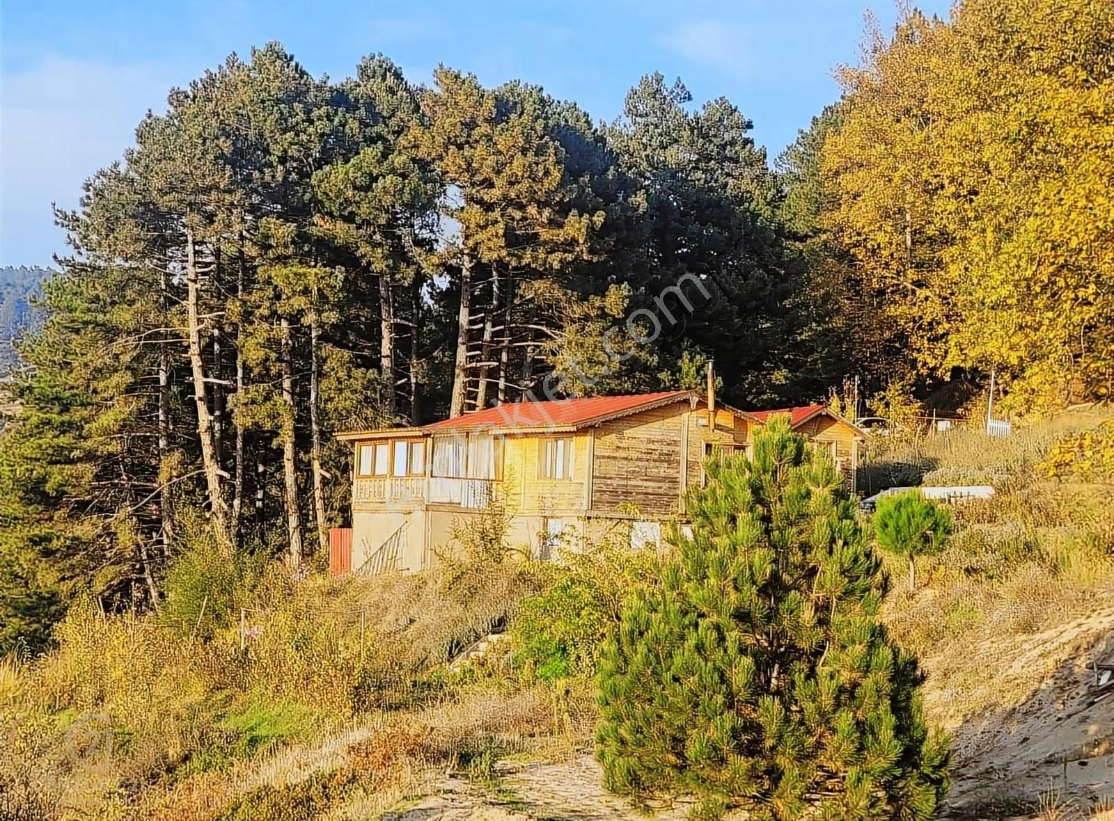 C21 Bal'dan Havran Fazlıca'da Satılık Ahşap Ev Ve 8 Dönümtarlası - Görsel 11