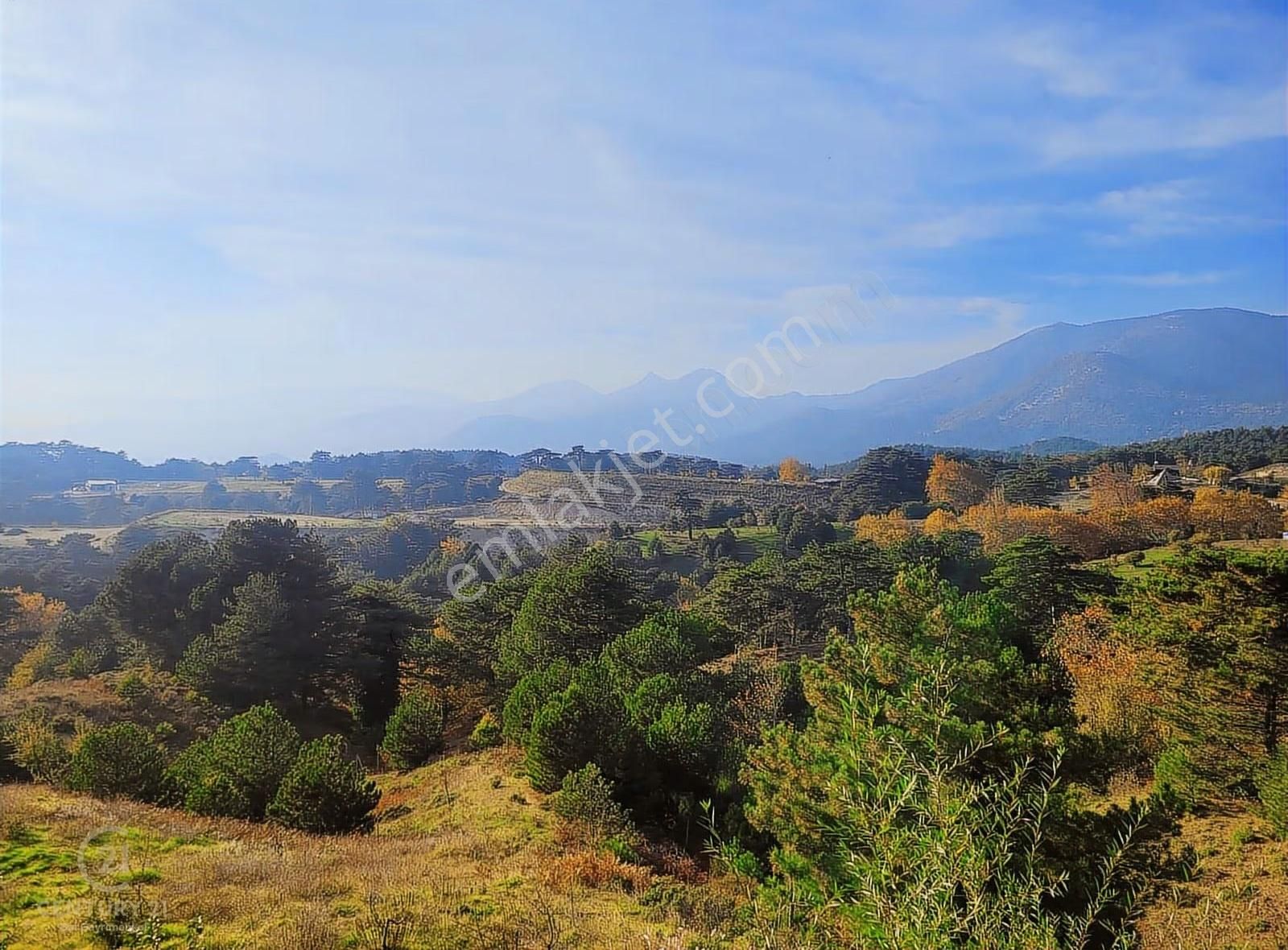 C21 Bal'dan Havran Fazlıca'da Satılık Ahşap Ev Ve 8 Dönümtarlası - Görsel 26