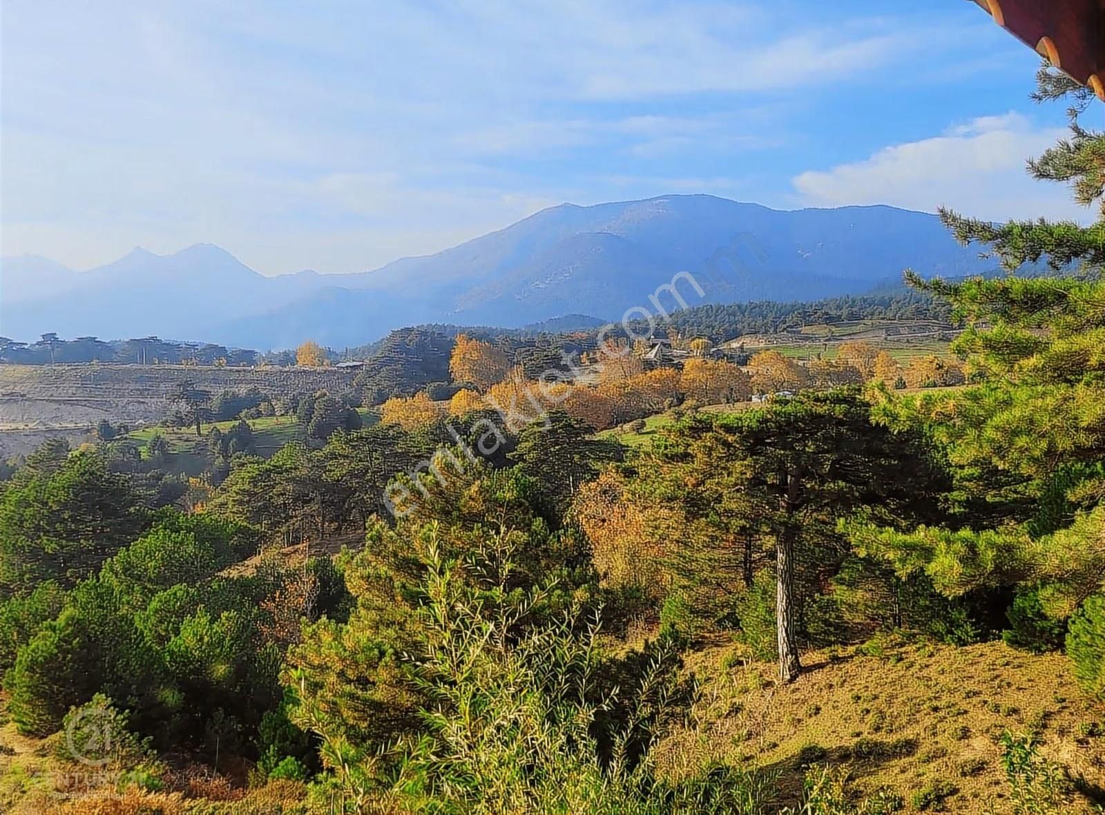 C21 Bal'dan Havran Fazlıca'da Satılık Ahşap Ev Ve 8 Dönümtarlası - Görsel 14
