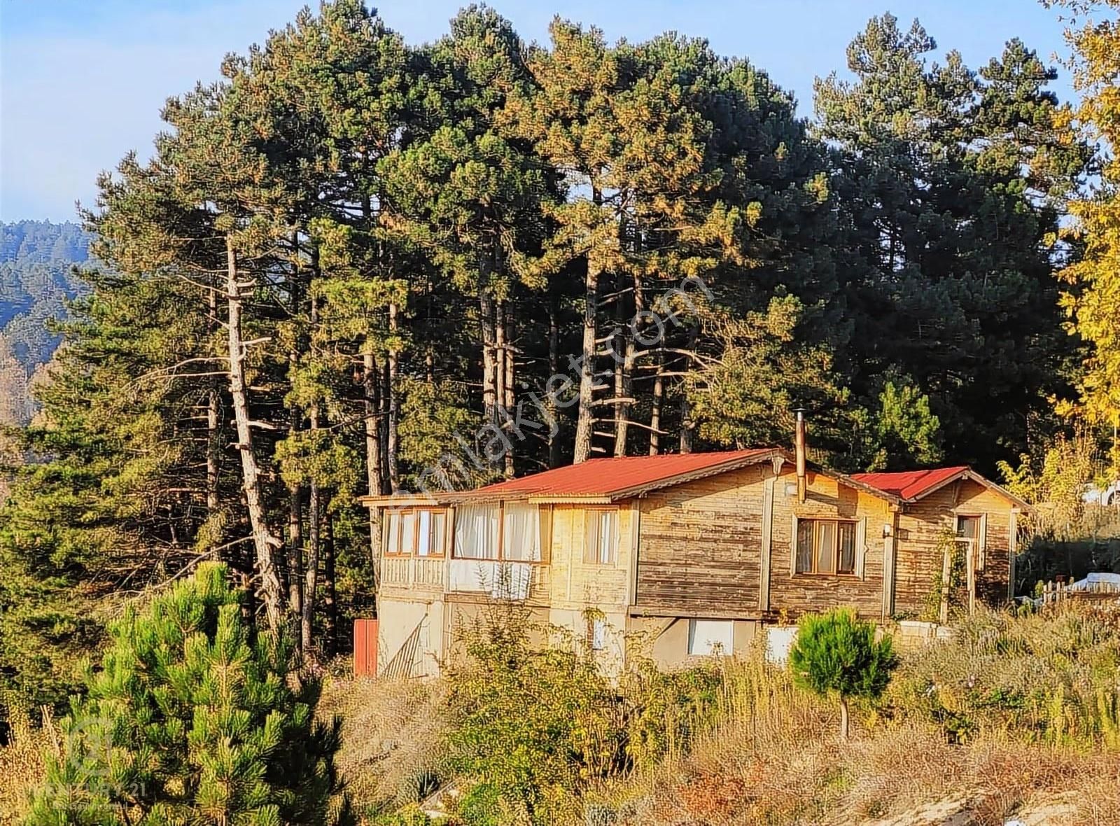 C21 Bal'dan Havran Fazlıca'da Satılık Ahşap Ev Ve 8 Dönümtarlası - Görsel 19